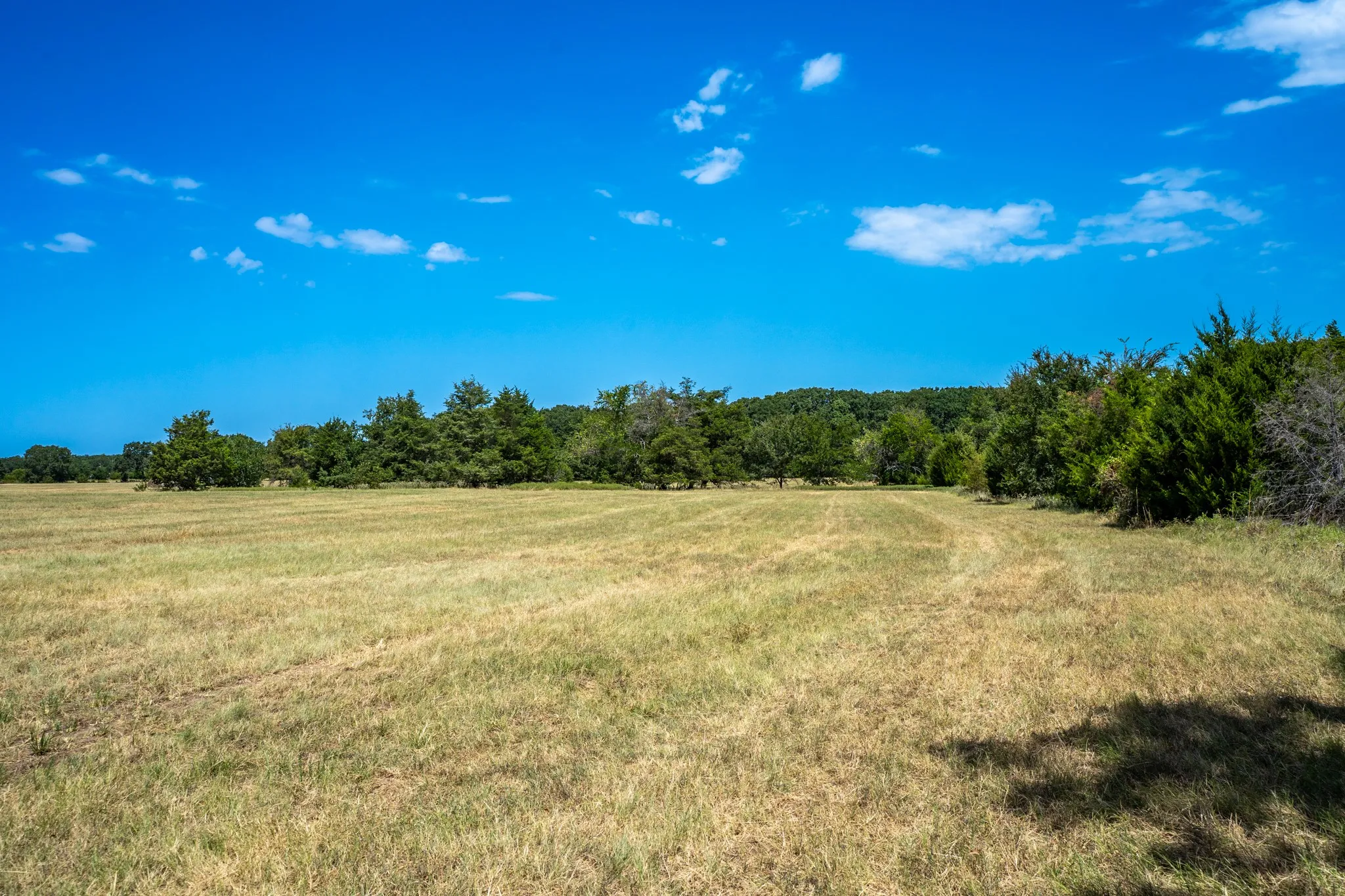 Unimproved Land For Sale in Fannin County , 000 County Road 2615, Ivanhoe, Texas 75447, 0, 0, Garage spaces, 0 Sqft, built in 0, mls#21367603, Real Estate Agent in Ivanhoe, Homes For Sale in Fannin county, Homes For Sale in Ivanhoe, Realtor in Ivanhoe Texas, Real Estate Brokerage Independent Realty Texas, Luminita Cordes Realtor