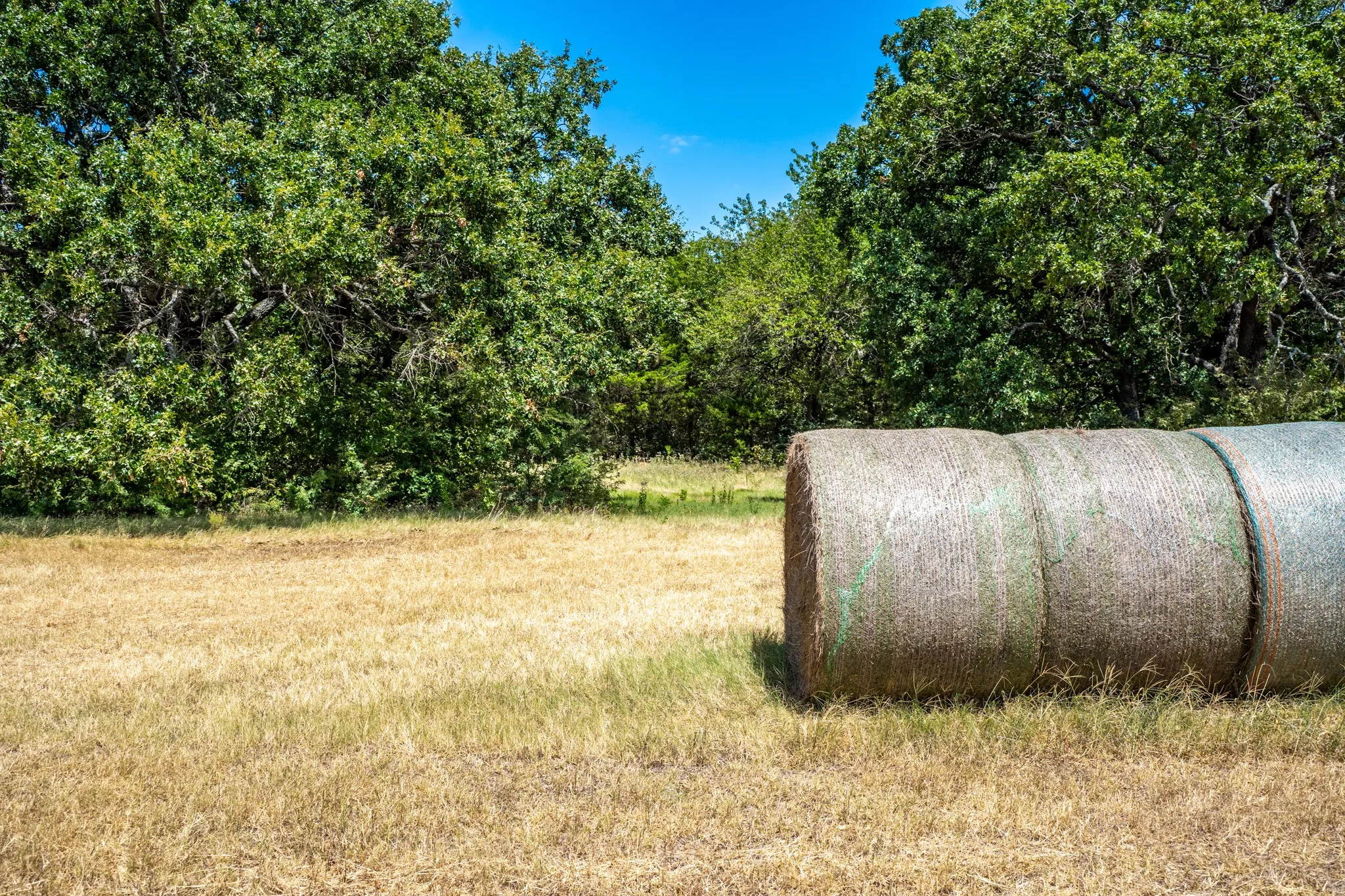 Unimproved Land For Sale in Fannin County , 000 County Road 2615, Ivanhoe, Texas 75447, 0, 0, Garage spaces, 0 Sqft, built in 0, mls#21367603, Real Estate Agent in Ivanhoe, Homes For Sale in Fannin county, Homes For Sale in Ivanhoe, Realtor in Ivanhoe Texas, Real Estate Brokerage Independent Realty Texas, Luminita Cordes Realtor