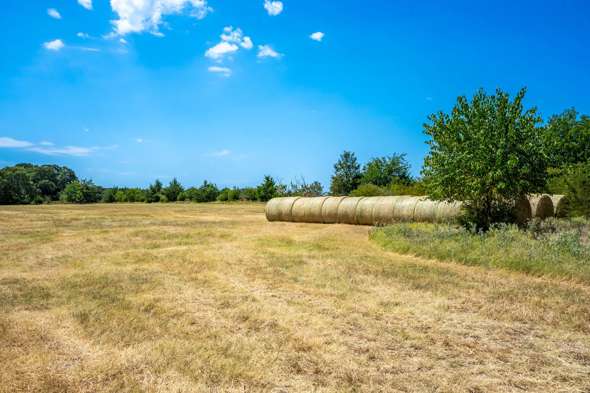 Unimproved Land For Sale in Fannin County , 000 County Road 2615, Ivanhoe, Texas 75447, 0, 0, Garage spaces, 0 Sqft, built in 0, mls#21367603, Real Estate Agent in Ivanhoe, Homes For Sale in Fannin county, Homes For Sale in Ivanhoe, Realtor in Ivanhoe Texas, Real Estate Brokerage Independent Realty Texas, Luminita Cordes Realtor