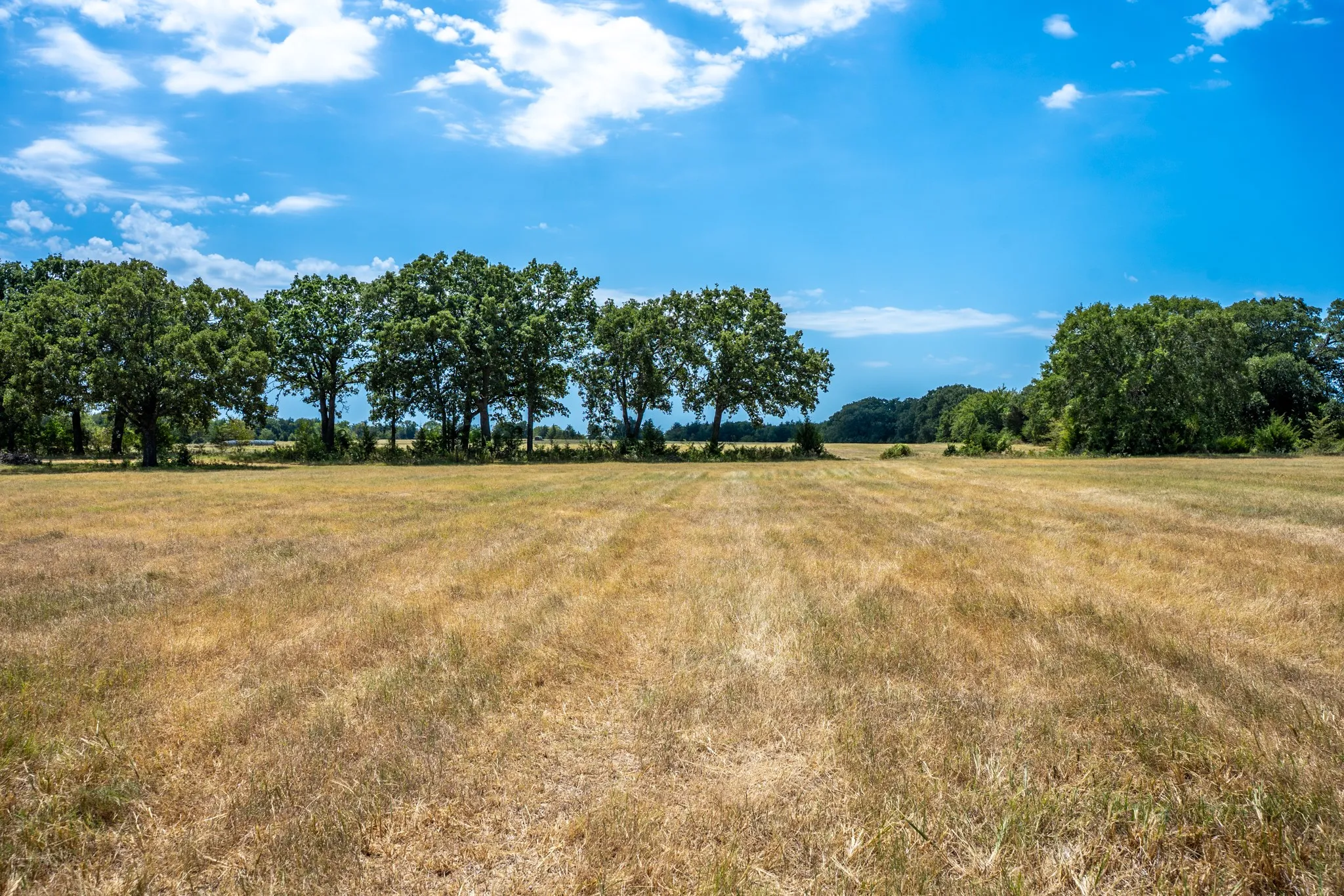 Unimproved Land For Sale in Fannin County , 000 County Road 2615, Ivanhoe, Texas 75447, 0, 0, Garage spaces, 0 Sqft, built in 0, mls#21367603, Real Estate Agent in Ivanhoe, Homes For Sale in Fannin county, Homes For Sale in Ivanhoe, Realtor in Ivanhoe Texas, Real Estate Brokerage Independent Realty Texas, Luminita Cordes Realtor