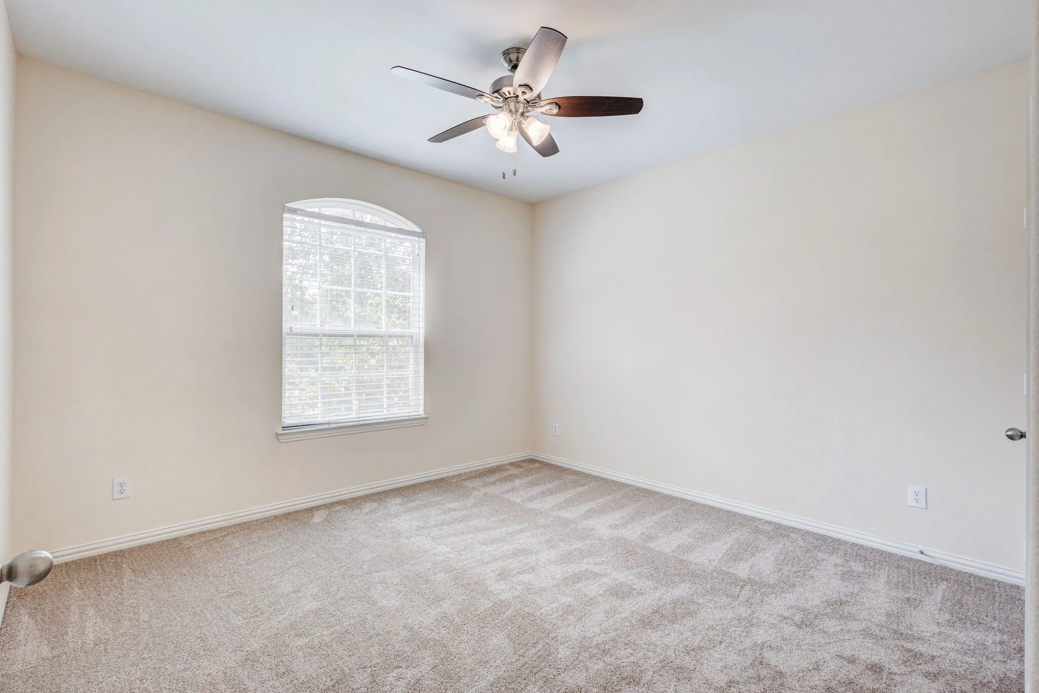 Arched window with blinds, ceiling fan, and carpeted flooring