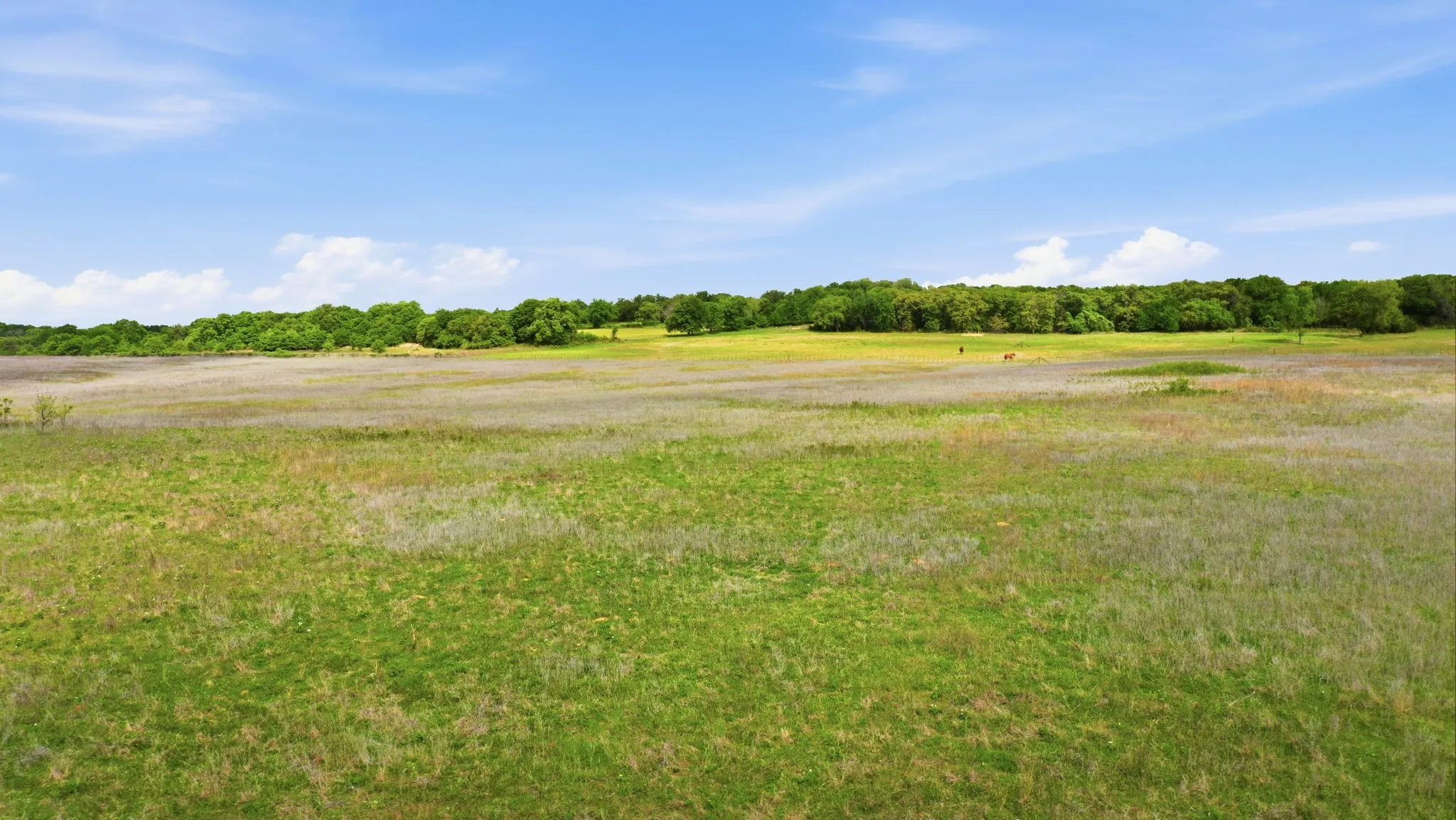 Unimproved Land For Sale in Parker County , TBD Ladybird Ln, Azle, Texas 76020, 0, 0, Garage spaces, 0 Sqft, built in 0, mls#21367660, Real Estate Agent in Azle, Homes For Sale in Parker county, Homes For Sale in Azle, Realtor in Azle Texas, Real Estate Brokerage Independent Realty Texas, Luminita Cordes Realtor