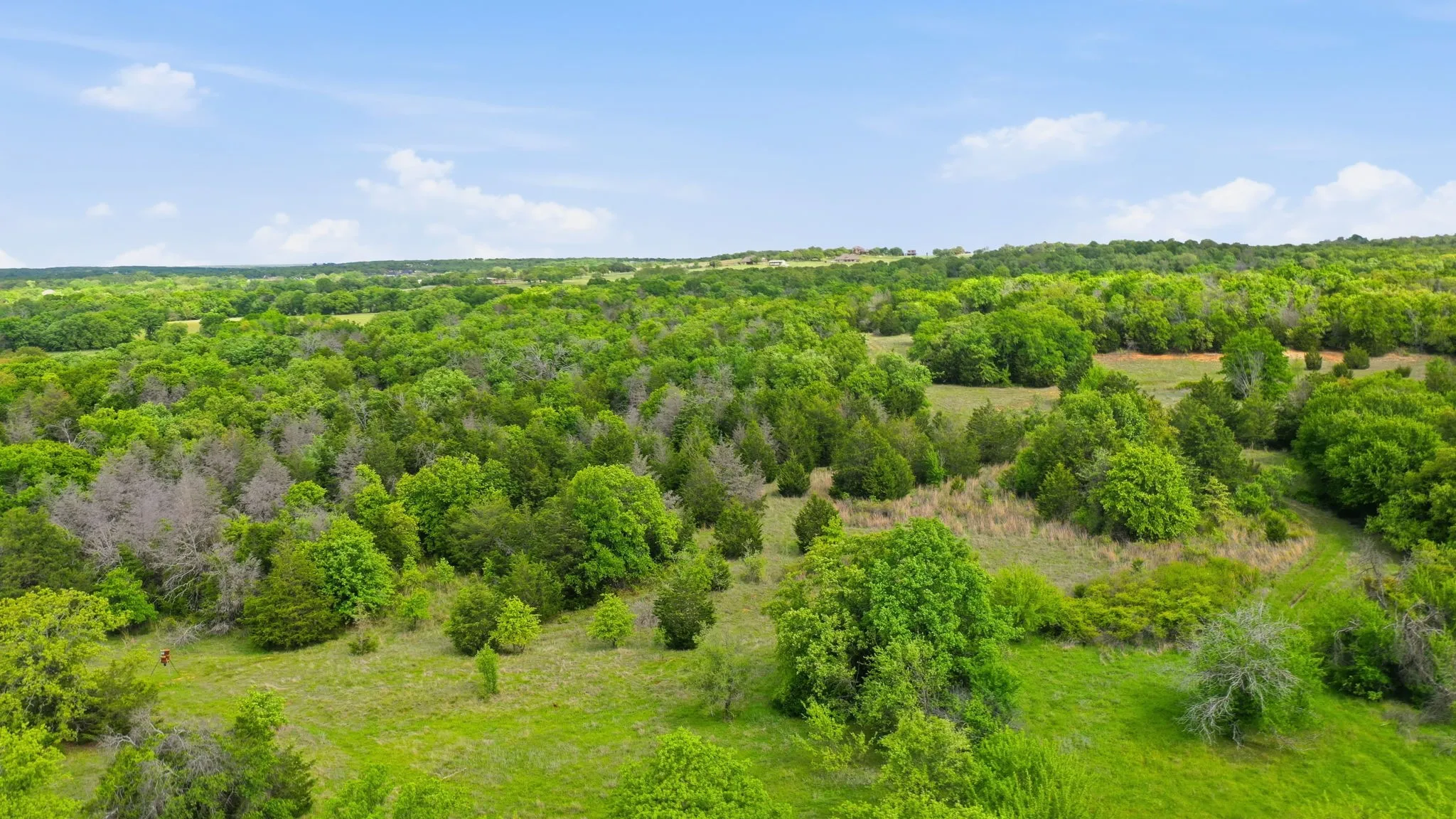 Unimproved Land For Sale in Parker County , TBD Ladybird Ln, Azle, Texas 76020, 0, 0, Garage spaces, 0 Sqft, built in 0, mls#21367660, Real Estate Agent in Azle, Homes For Sale in Parker county, Homes For Sale in Azle, Realtor in Azle Texas, Real Estate Brokerage Independent Realty Texas, Luminita Cordes Realtor