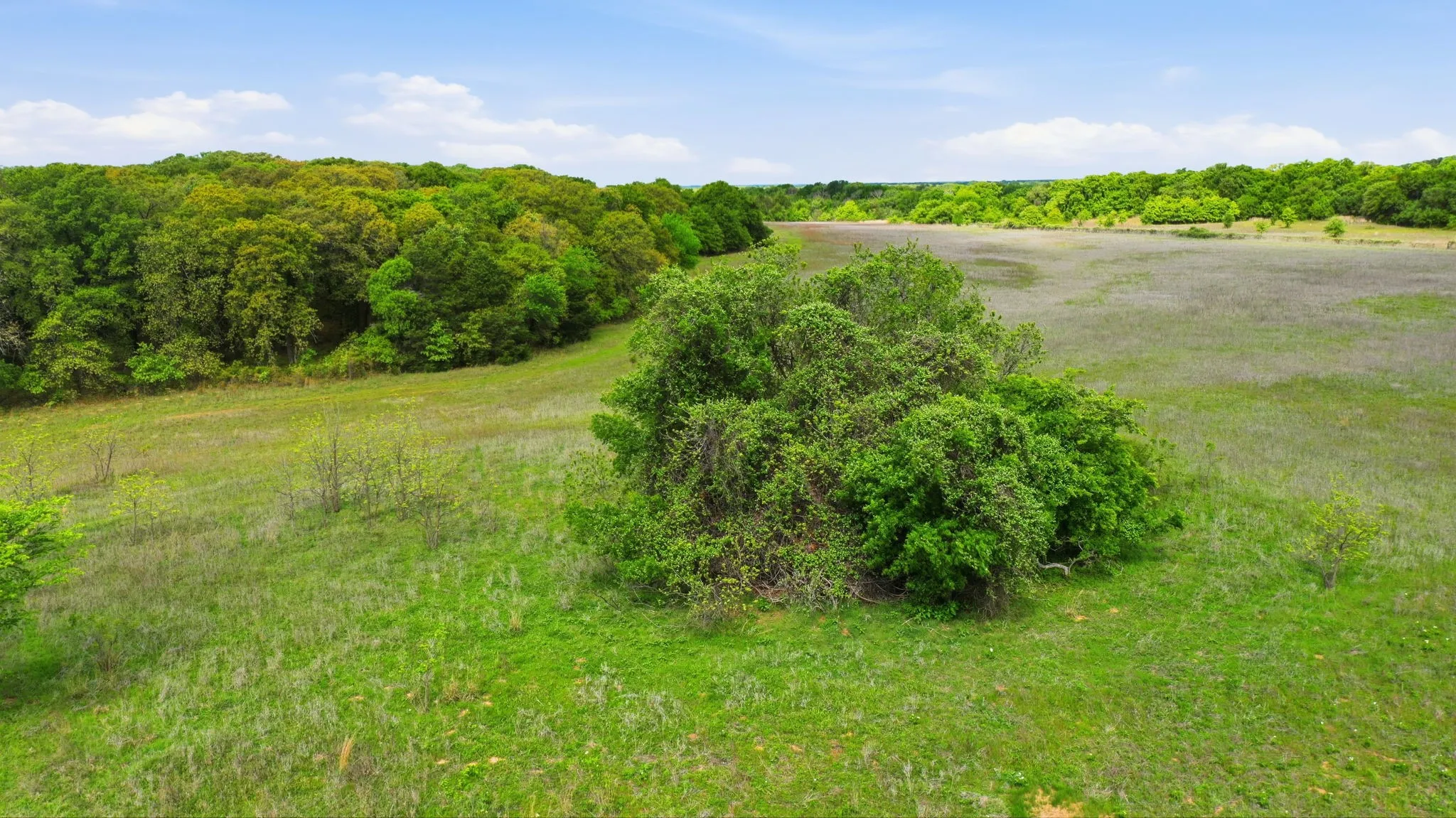 Unimproved Land For Sale in Parker County , TBD Ladybird Ln, Azle, Texas 76020, 0, 0, Garage spaces, 0 Sqft, built in 0, mls#21367660, Real Estate Agent in Azle, Homes For Sale in Parker county, Homes For Sale in Azle, Realtor in Azle Texas, Real Estate Brokerage Independent Realty Texas, Luminita Cordes Realtor