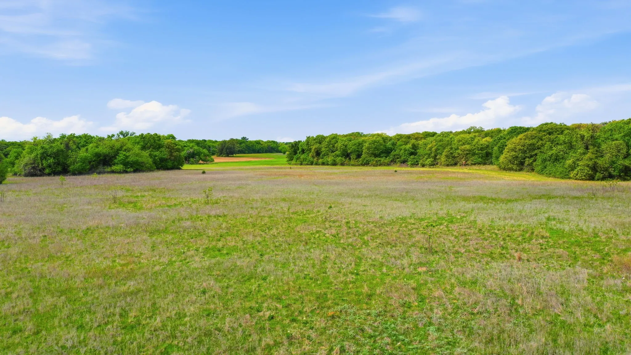 Unimproved Land For Sale in Parker County , TBD2 W White Dove Street, Azle, Texas 76020, 0, 0, Garage spaces, 0 Sqft, built in 0, mls#21367699, Real Estate Agent in Azle, Homes For Sale in Parker county, Homes For Sale in Azle, Realtor in Azle Texas, Real Estate Brokerage Independent Realty Texas, Luminita Cordes Realtor