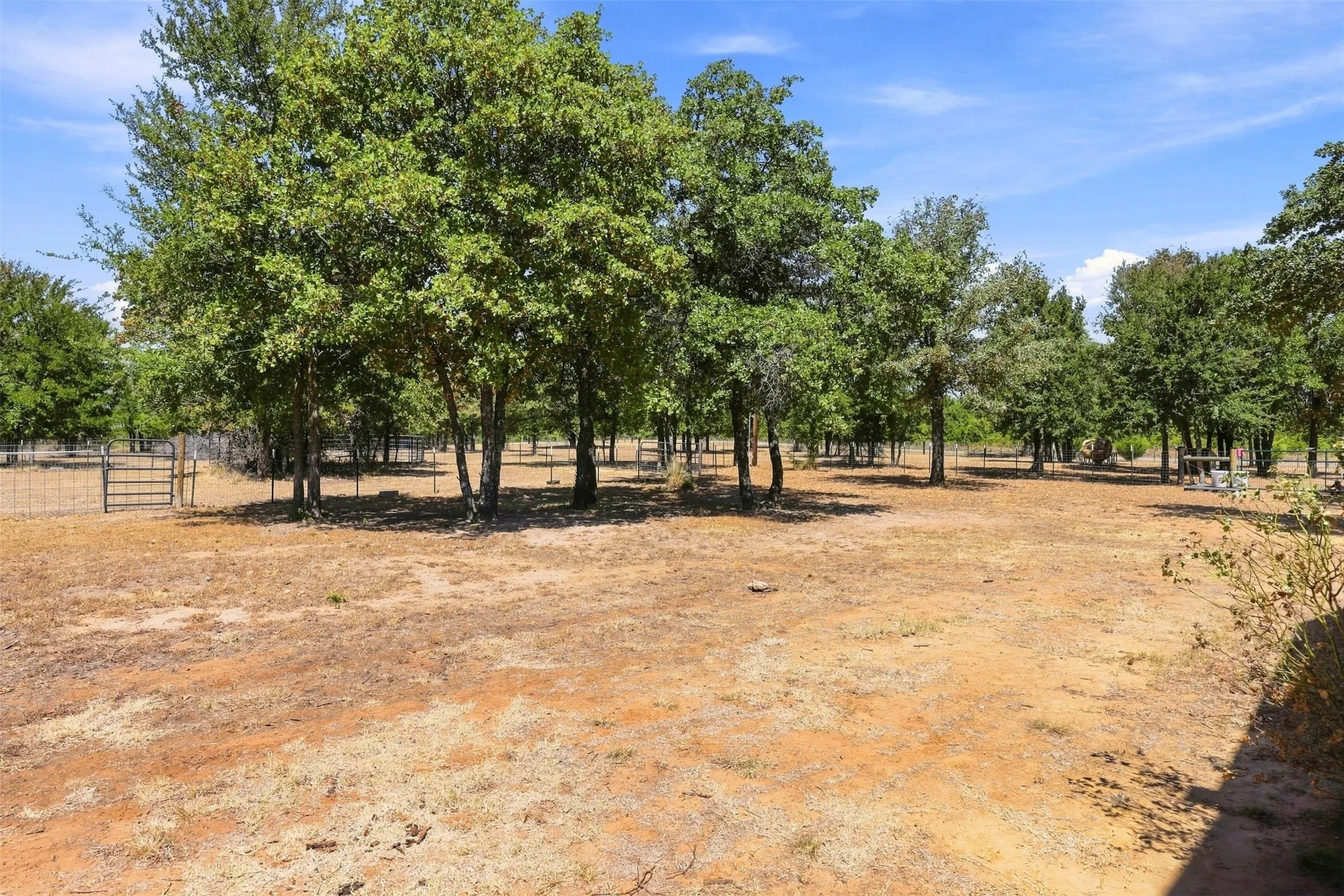 Expansive natural landscape with mature trees and a wire perimeter fence
