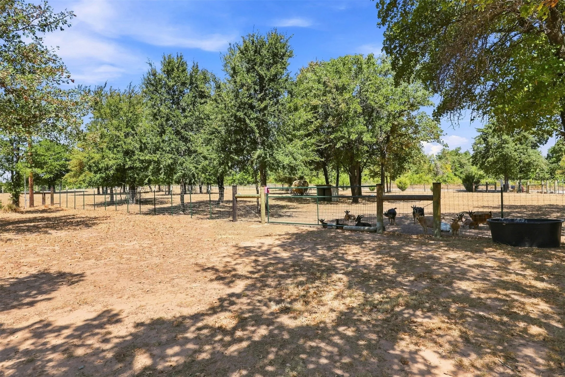 Expansive outdoor area featuring mature trees, partial fencing, and a sun-dappled ground surface