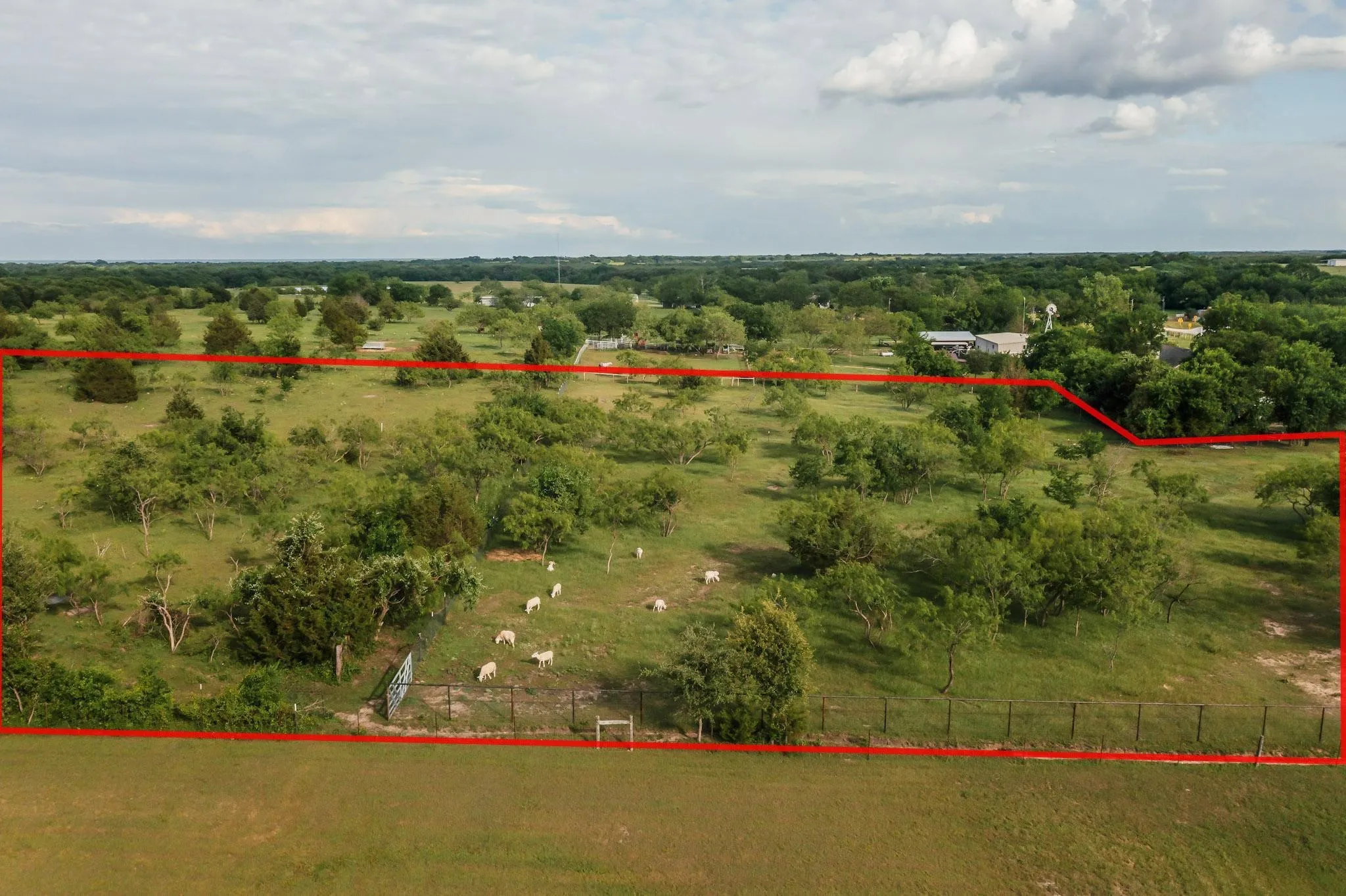 Expansive land parcel featuring open fields, scattered mature trees, and perimeter fencing