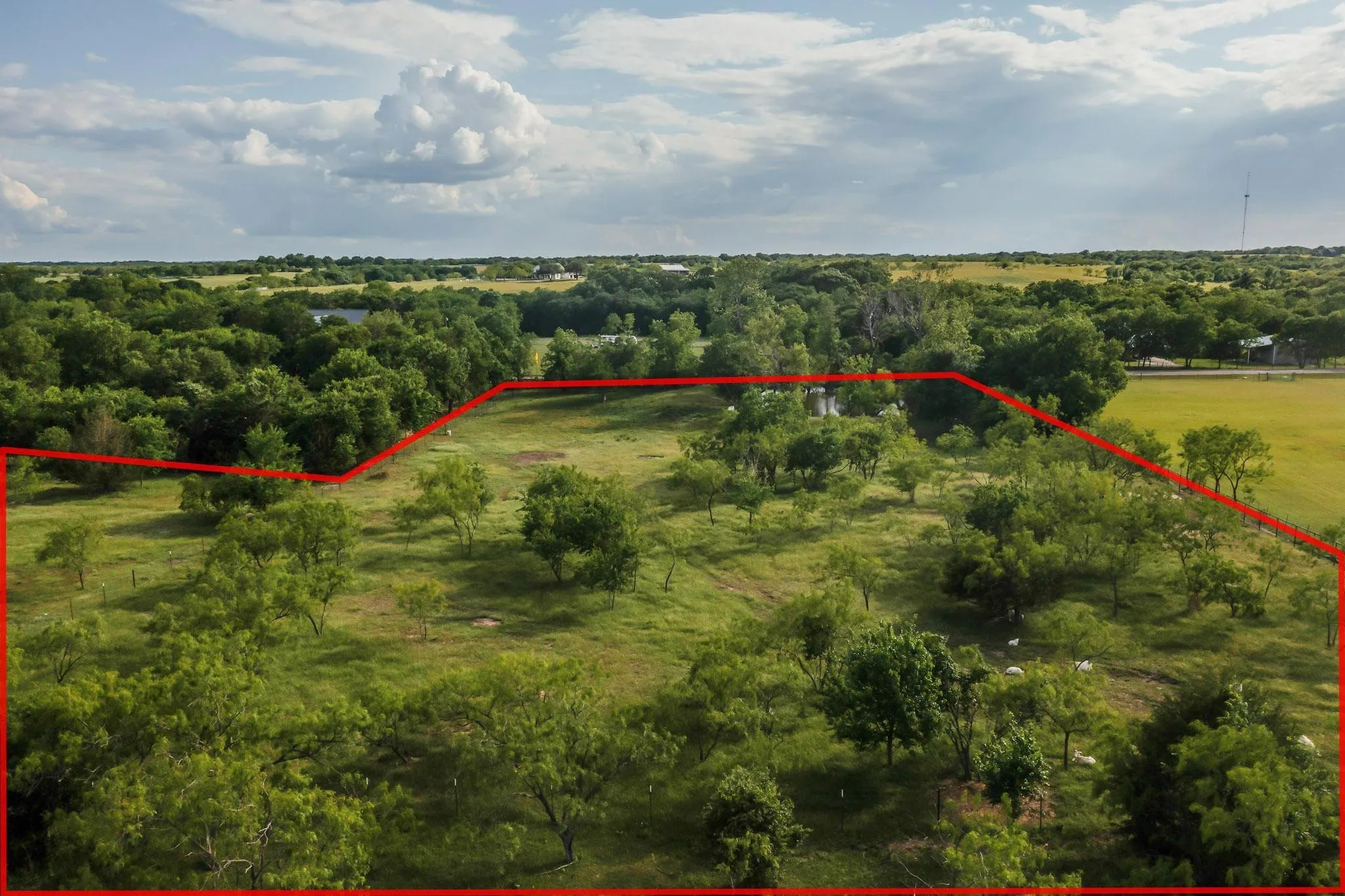 Expansive land parcel featuring open grassy areas, scattered mature trees, and a visible water feature