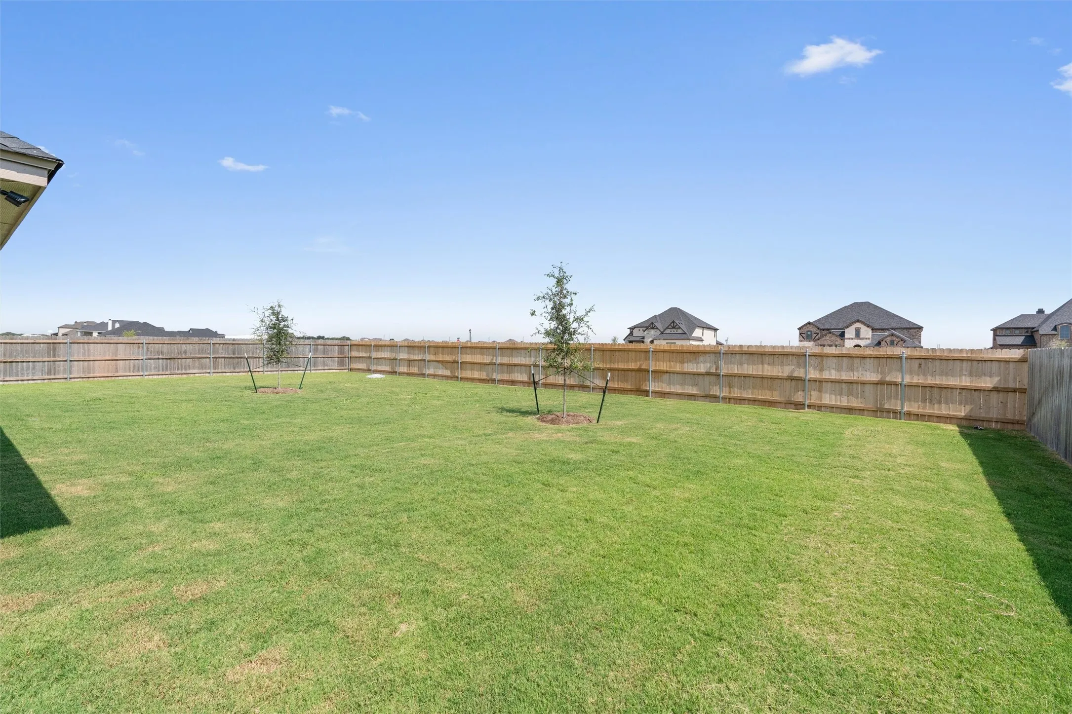 Expansive lawn area with a perimeter wood fence and young trees