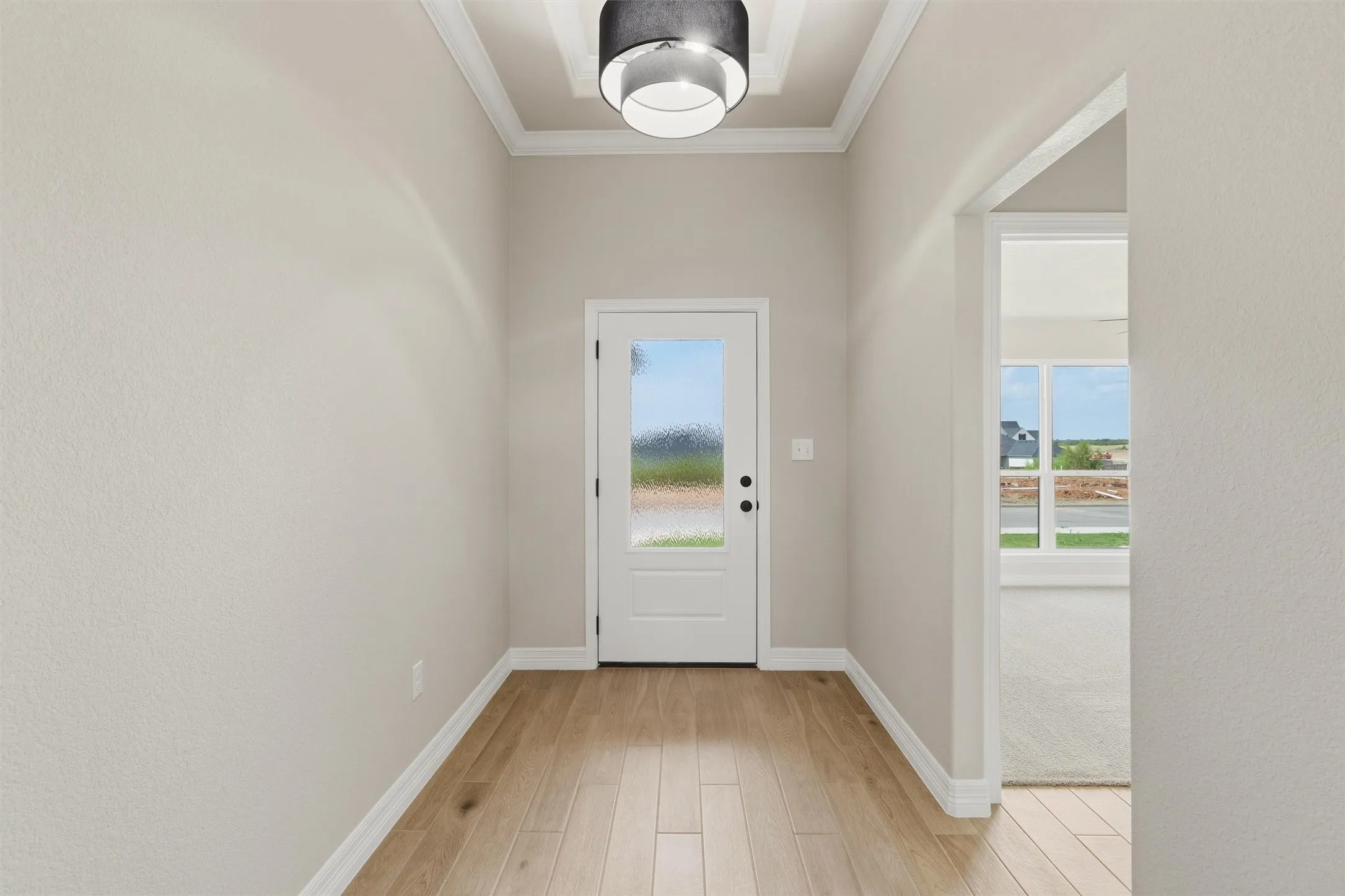 Wood-finish flooring with a white entry door featuring privacy glass
