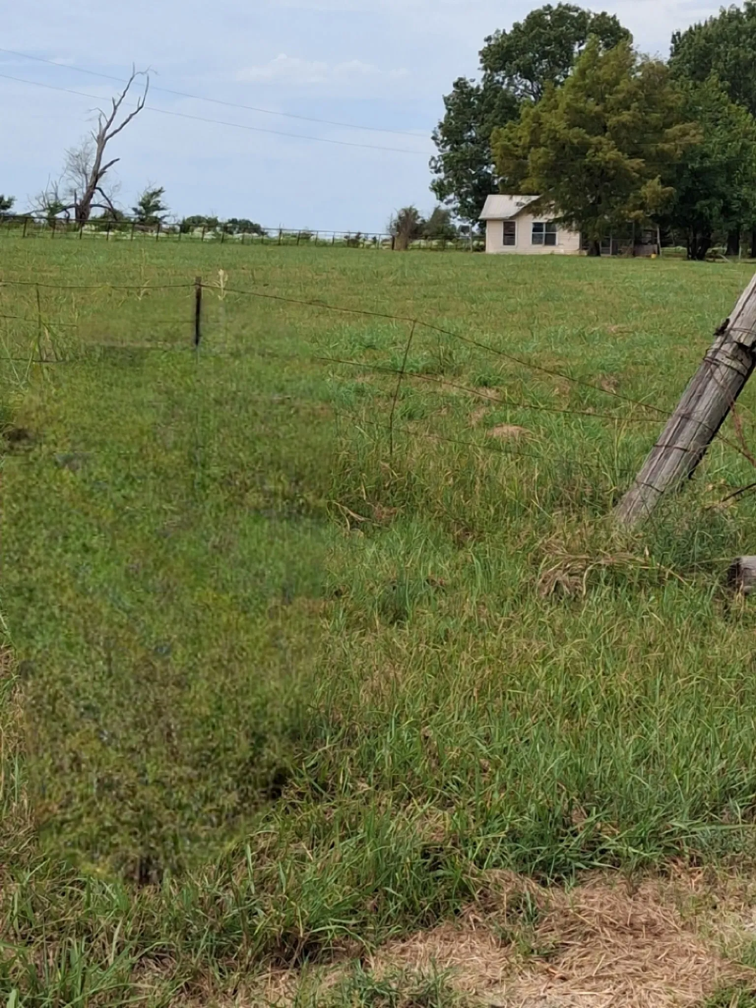 Single Family Residence For Sale in Red River (TX) County , 2020 Farm Road 909, Clarksville, Texas 75426, 2 Bedroom, 2 Bathroom, 1 Garage spaces, 1,253 Sqft, built in 1937, mls#21367221, Real Estate Agent in Clarksville, Homes For Sale in Red River (TX) county, Homes For Sale in Clarksville, Realtor in Clarksville Texas, Real Estate Brokerage Independent Realty Texas, Luminita Cordes Realtor