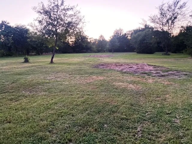 Single Family Residence For Sale in Grayson County , 53 Reality Road, Denison, Texas 75021, 4 Bedroom, 3 Bathroom, Garage spaces, 1,542 Sqft, built in 1984, mls#21361350, Real Estate Agent in Denison, Homes For Sale in Grayson county, Homes For Sale in Denison, Realtor in Denison Texas, Real Estate Brokerage Independent Realty Texas, Luminita Cordes Realtor
