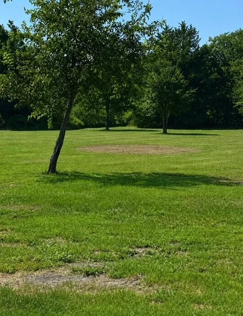 Single Family Residence For Sale in Grayson County , 53 Reality Road, Denison, Texas 75021, 4 Bedroom, 3 Bathroom, Garage spaces, 1,542 Sqft, built in 1984, mls#21361350, Real Estate Agent in Denison, Homes For Sale in Grayson county, Homes For Sale in Denison, Realtor in Denison Texas, Real Estate Brokerage Independent Realty Texas, Luminita Cordes Realtor