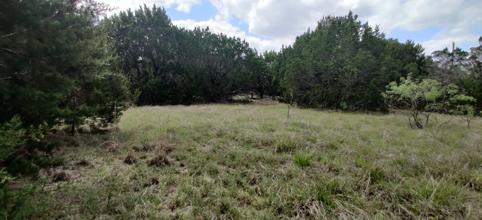 Unimproved Land For Sale in Hill County , 32047 Dove Trail, Whitney, Texas 76692, 0, 0, Garage spaces, 0 Sqft, built in 0, mls#21367496, Real Estate Agent in Whitney, Homes For Sale in Hill county, Homes For Sale in Whitney, Realtor in Whitney Texas, Real Estate Brokerage Independent Realty Texas, Luminita Cordes Realtor