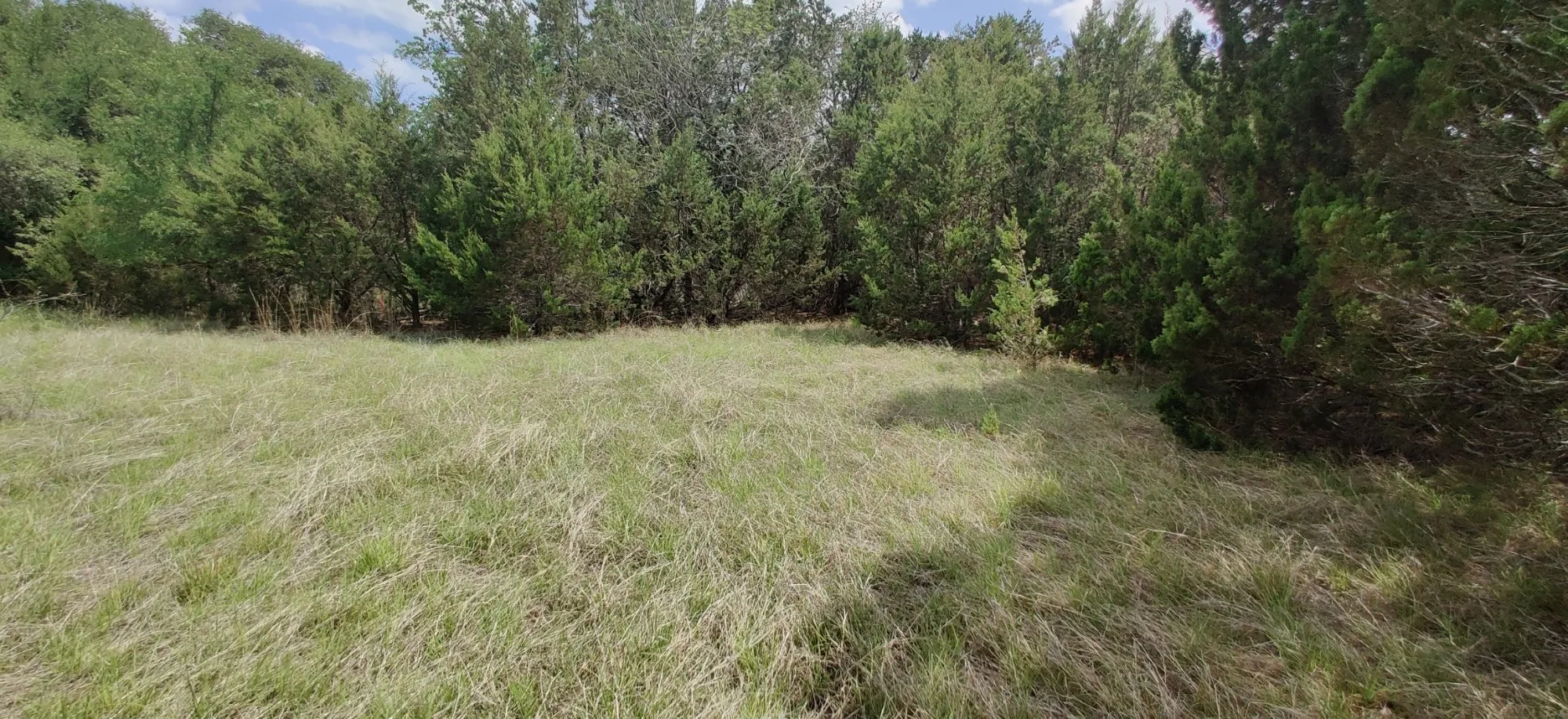 Unimproved Land For Sale in Hill County , 32047 Dove Trail, Whitney, Texas 76692, 0, 0, Garage spaces, 0 Sqft, built in 0, mls#21367496, Real Estate Agent in Whitney, Homes For Sale in Hill county, Homes For Sale in Whitney, Realtor in Whitney Texas, Real Estate Brokerage Independent Realty Texas, Luminita Cordes Realtor
