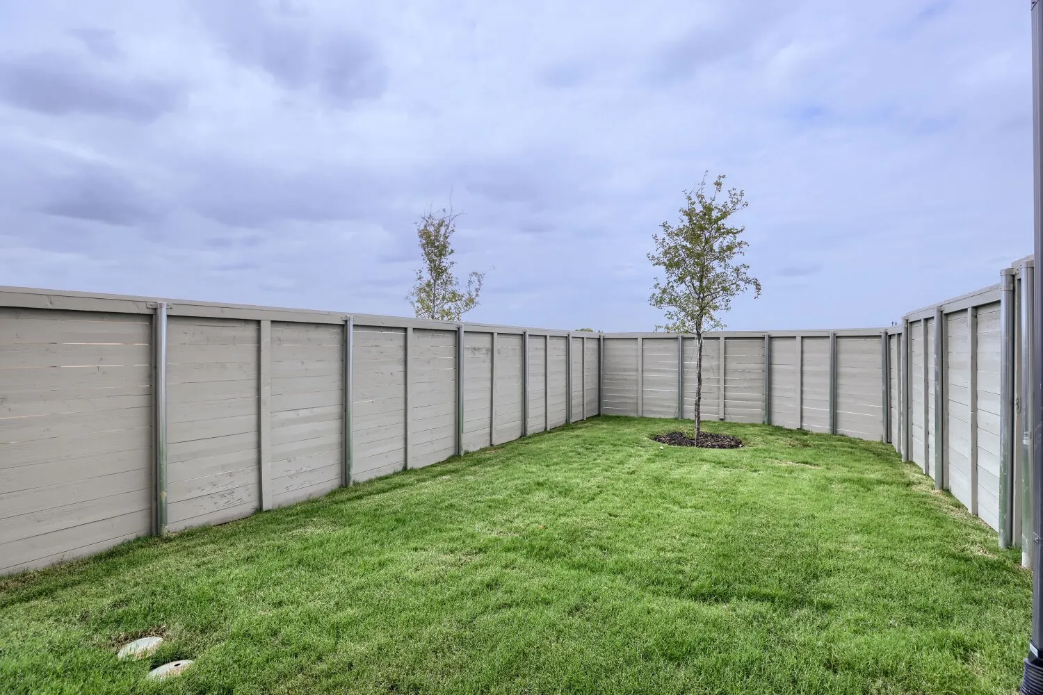 Enclosed backyard featuring a manicured lawn, a young tree, and privacy fencing
