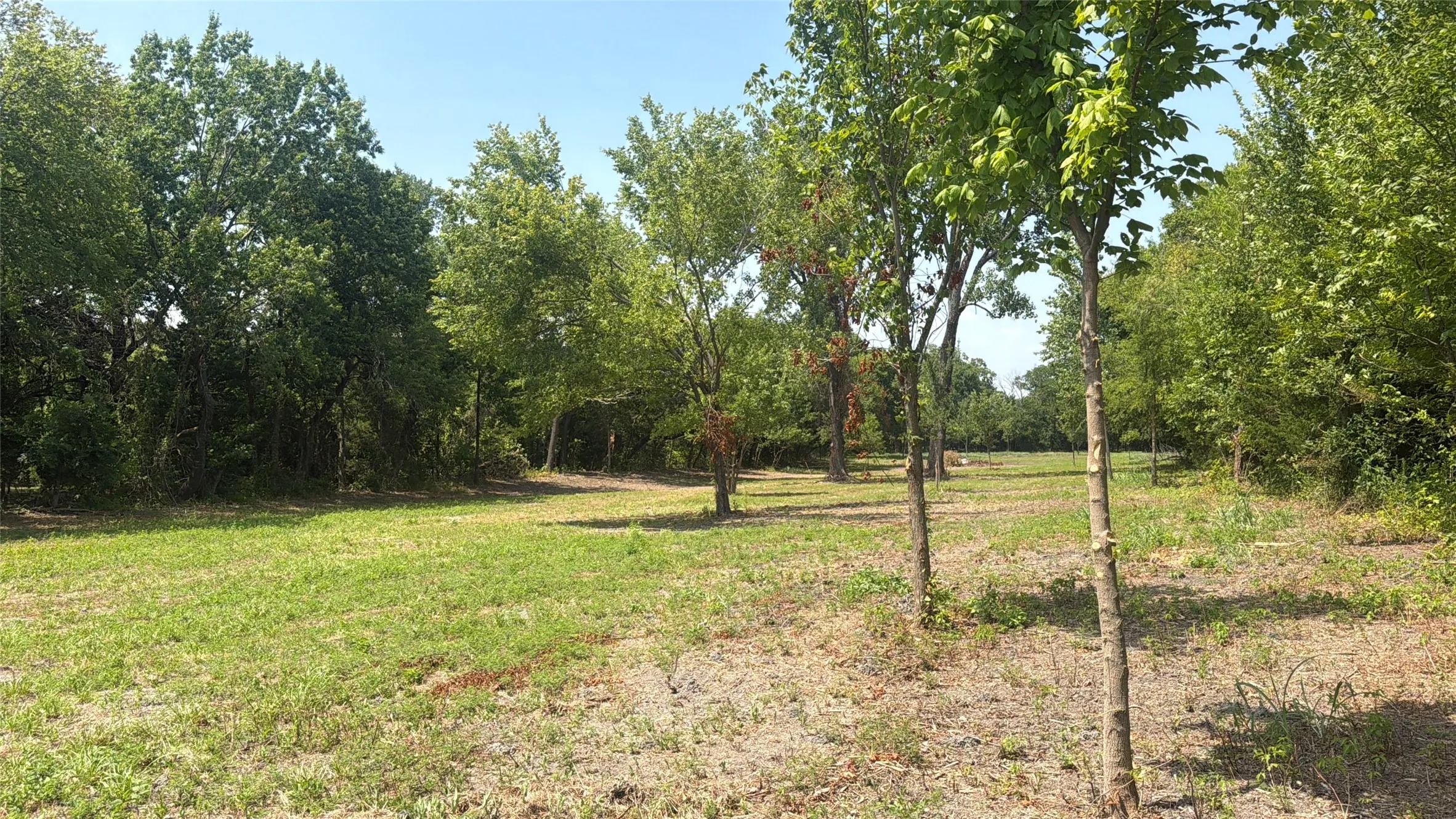Improved Land For Sale in Grayson County , TBD FM 902 E Fm 902, Howe, Texas 75459, 0, 0, Garage spaces, 0 Sqft, built in 0, mls#21367702, Real Estate Agent in Howe, Homes For Sale in Grayson county, Homes For Sale in Howe, Realtor in Howe Texas, Real Estate Brokerage Independent Realty Texas, Luminita Cordes Realtor