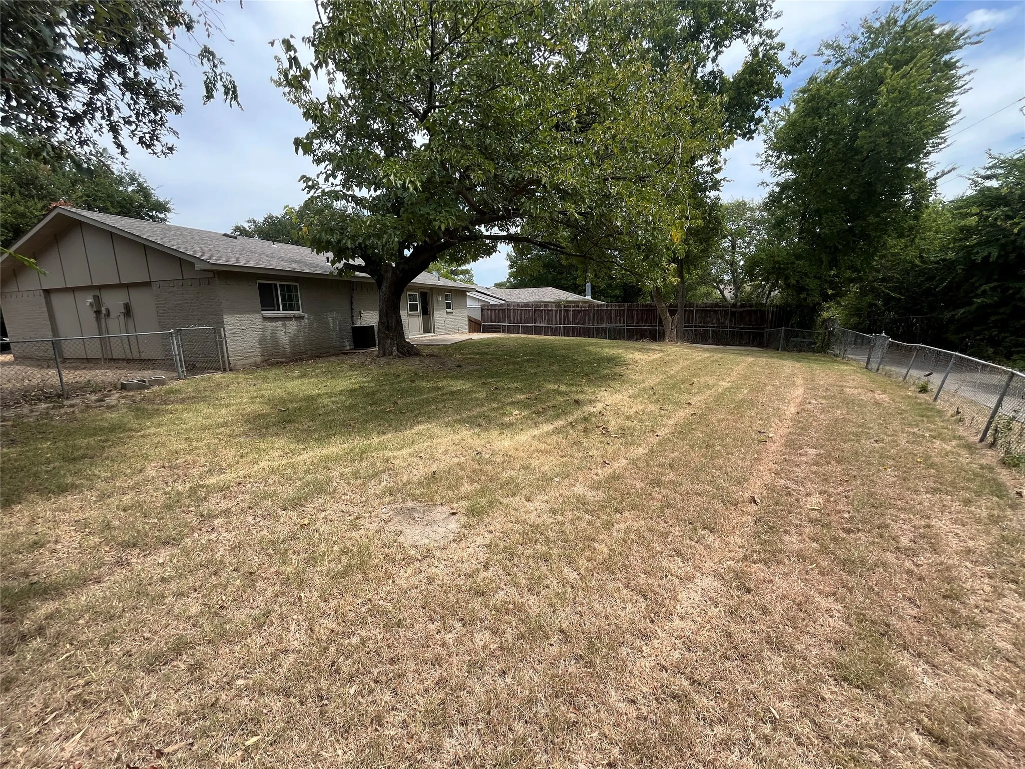 Expansive backyard featuring a mature tree, chain-link fencing, and a wood privacy fence