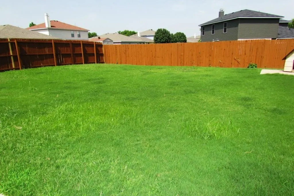 Expansive lawn area with a perimeter wood fence