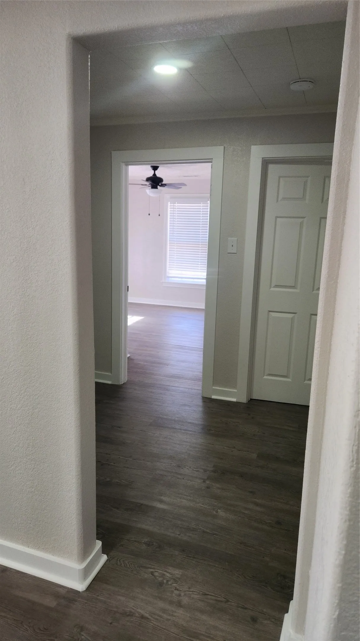 Wood-finish flooring throughout