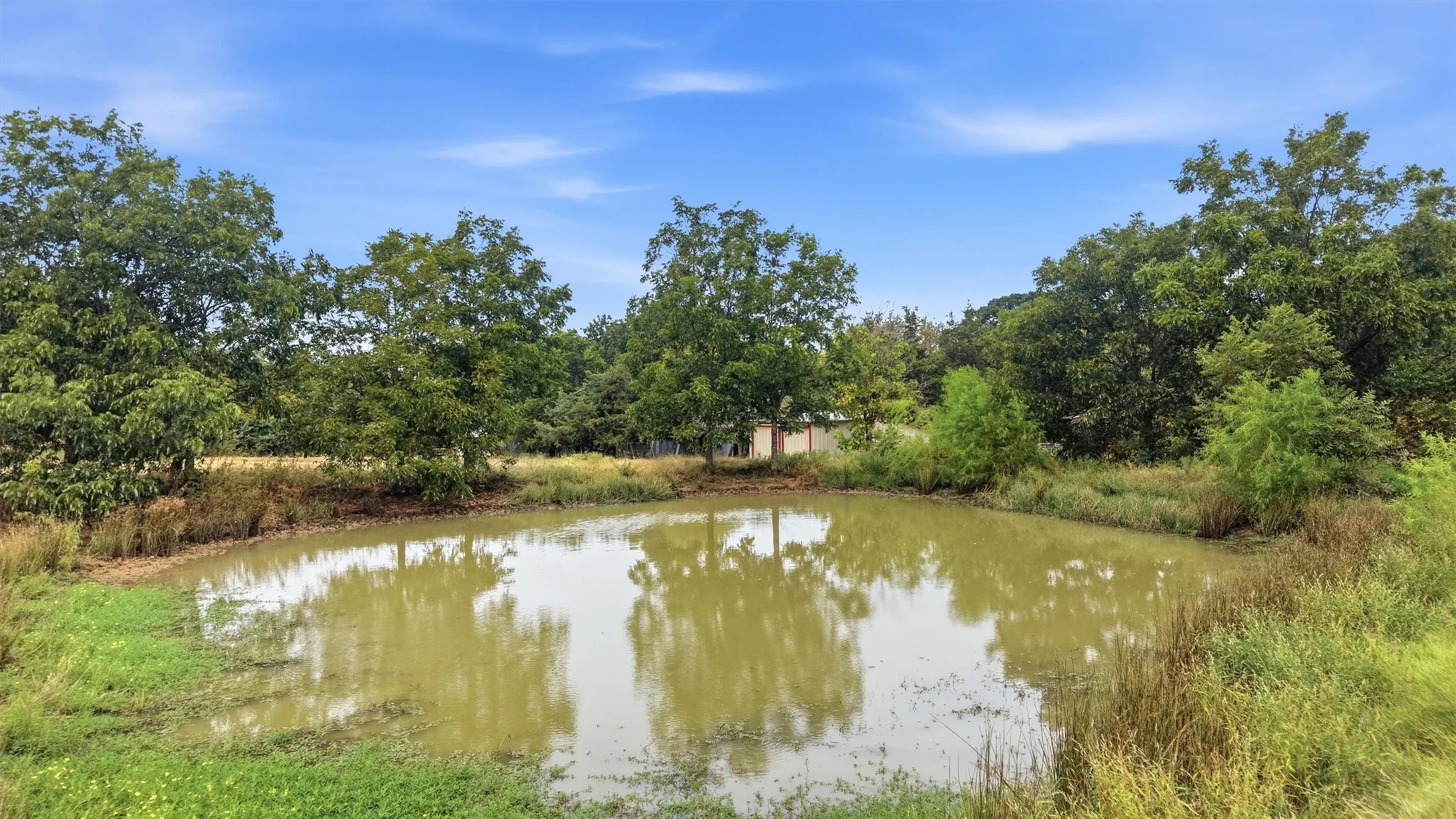 Private pond with surrounding natural landscape and mature trees under a clear sky