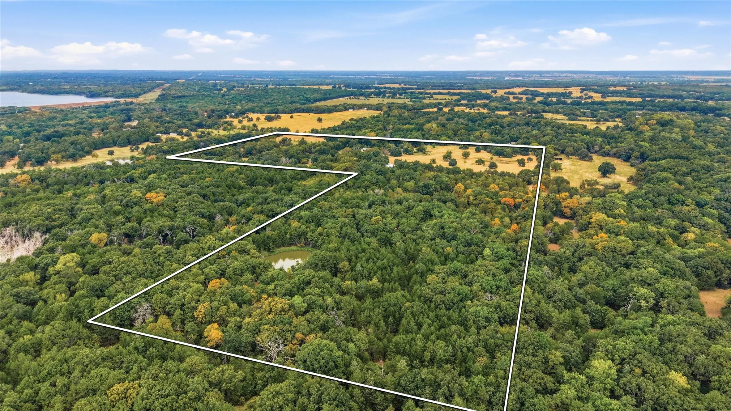 Blend of open pasture and mature wooded acreage, with the surrounding East Texas countryside and nearby water views beyond