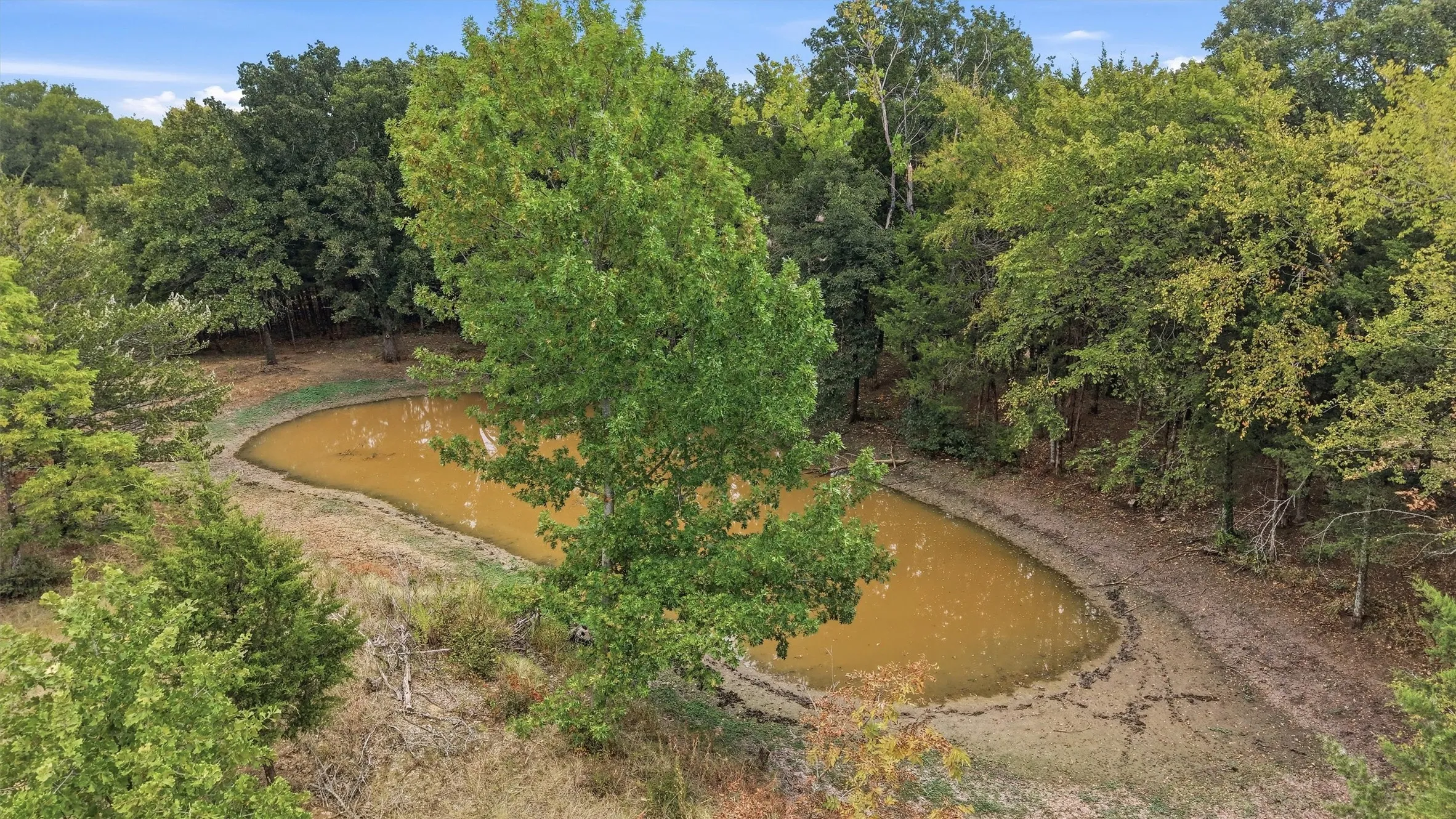 Pond tucked into the mature trees, with natural wooded surroundings providing privacy and a picturesque country setting.