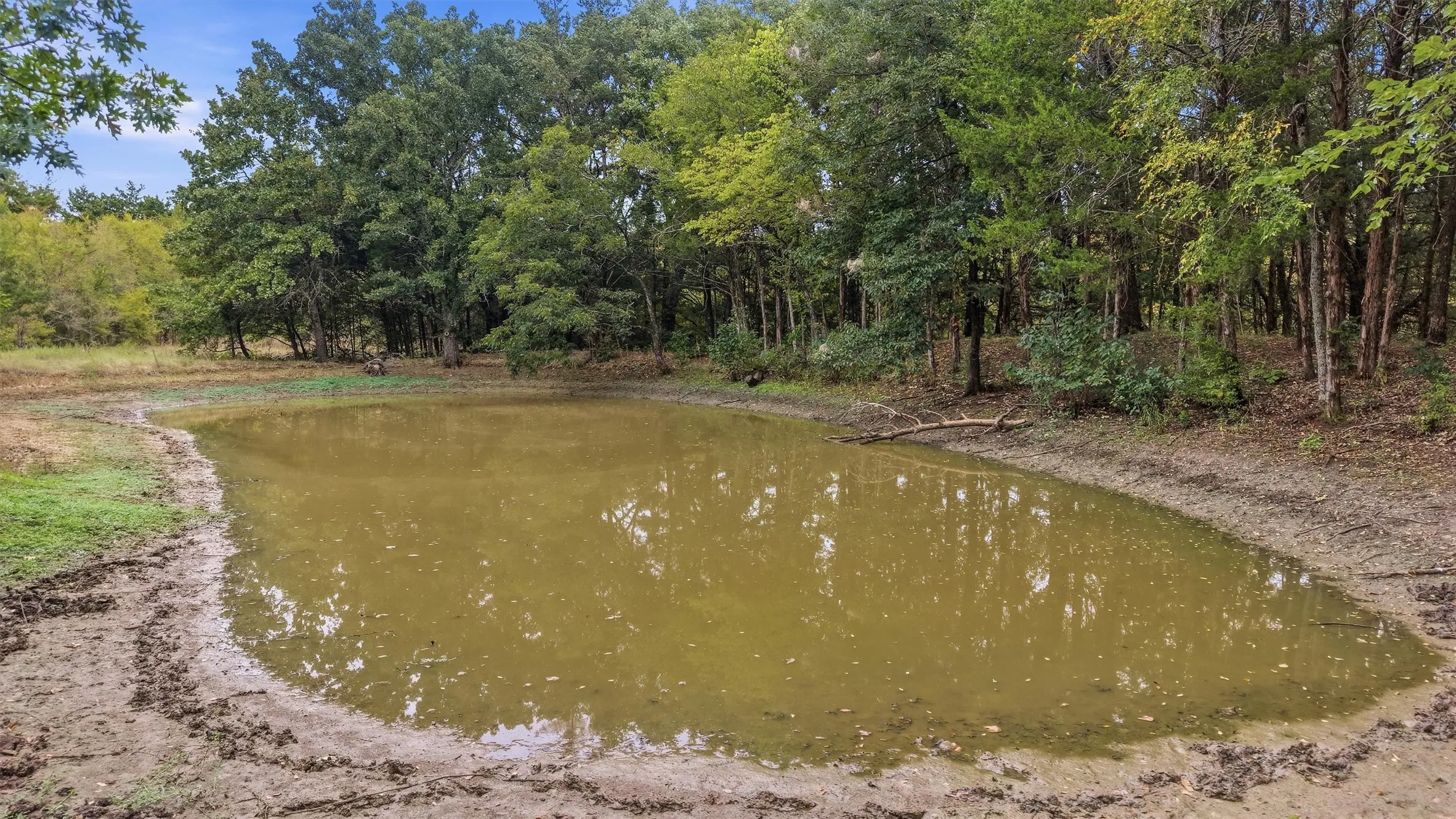 Pond surrounded by mature trees and natural vegetation highlighting the property's natural beauty and tranquil country atmosphere.