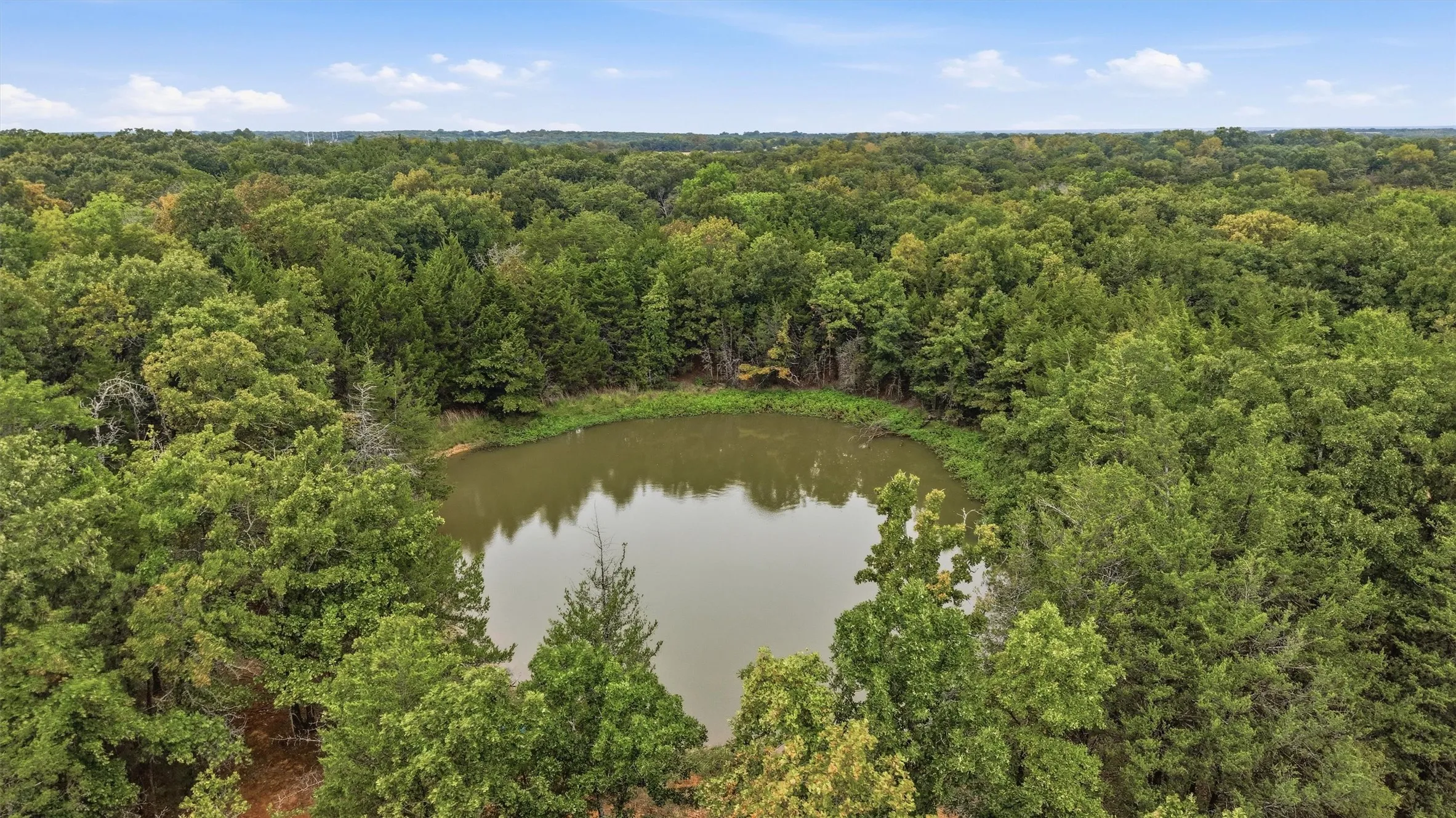 Secluded catfish pond surrounded by mature trees, highlighting the property's natural setting and abundant tree coverage