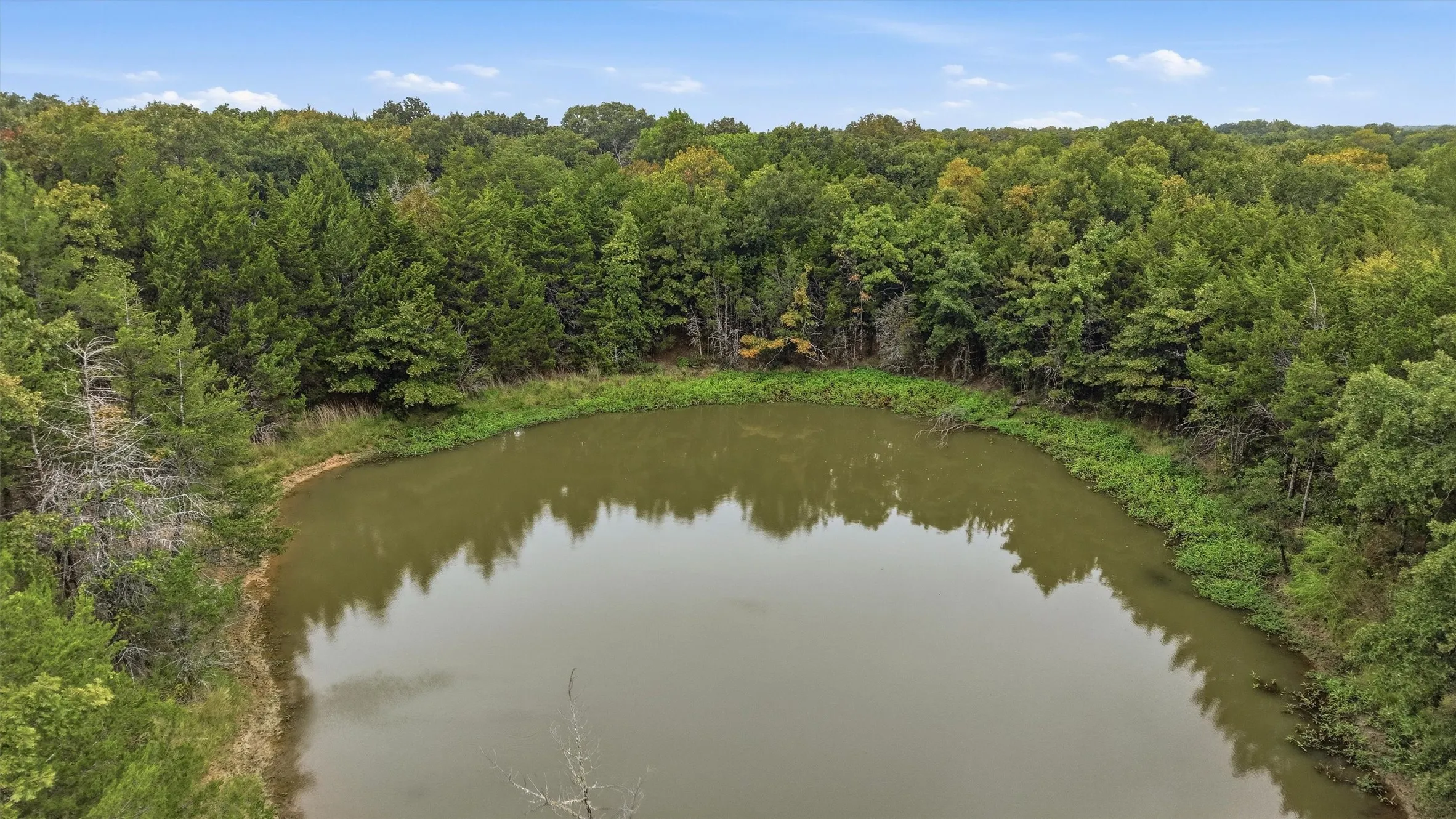Close-up of the catfish pond.