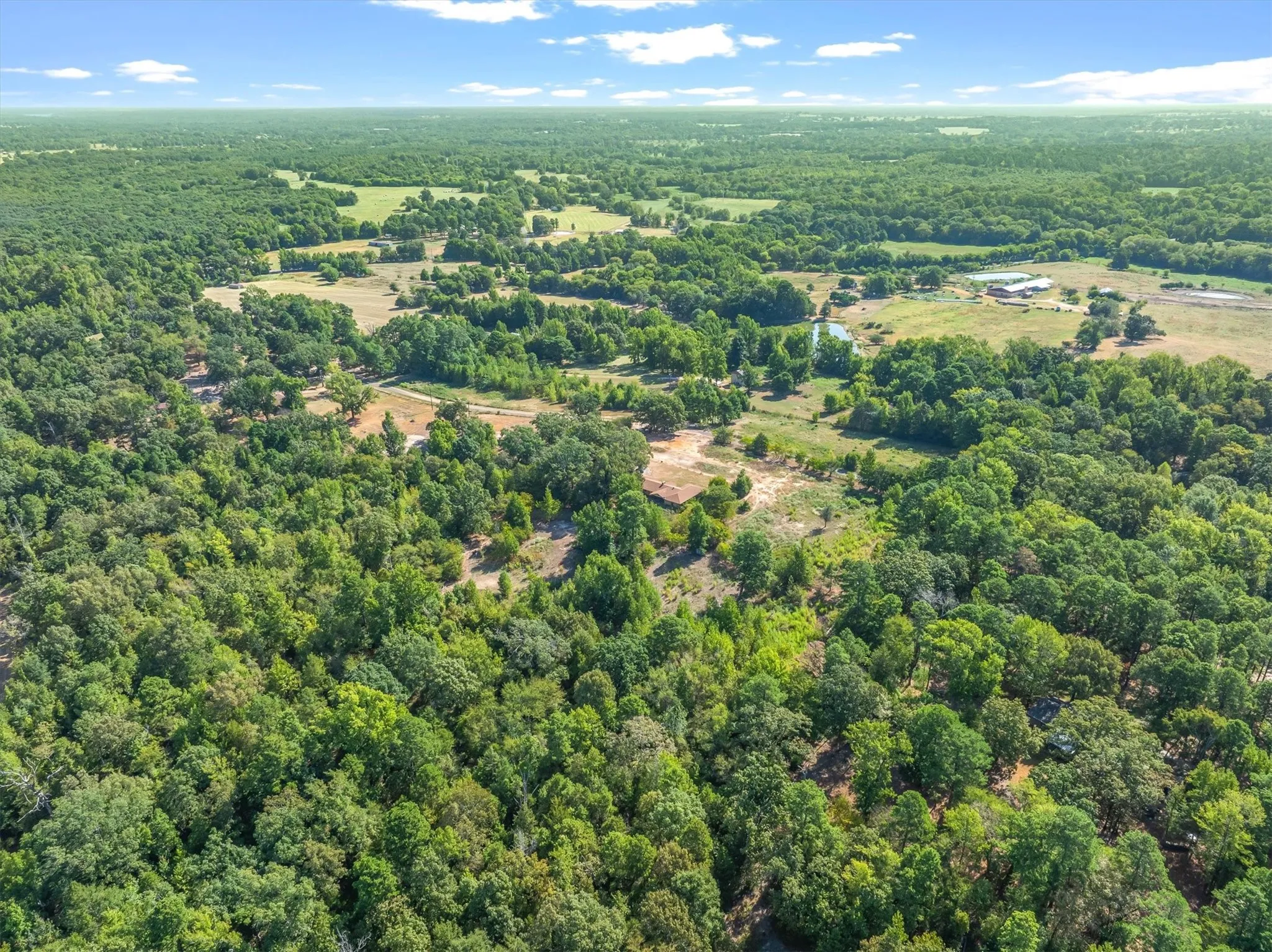 Expansive acreage featuring mature trees, open fields, and a natural pond