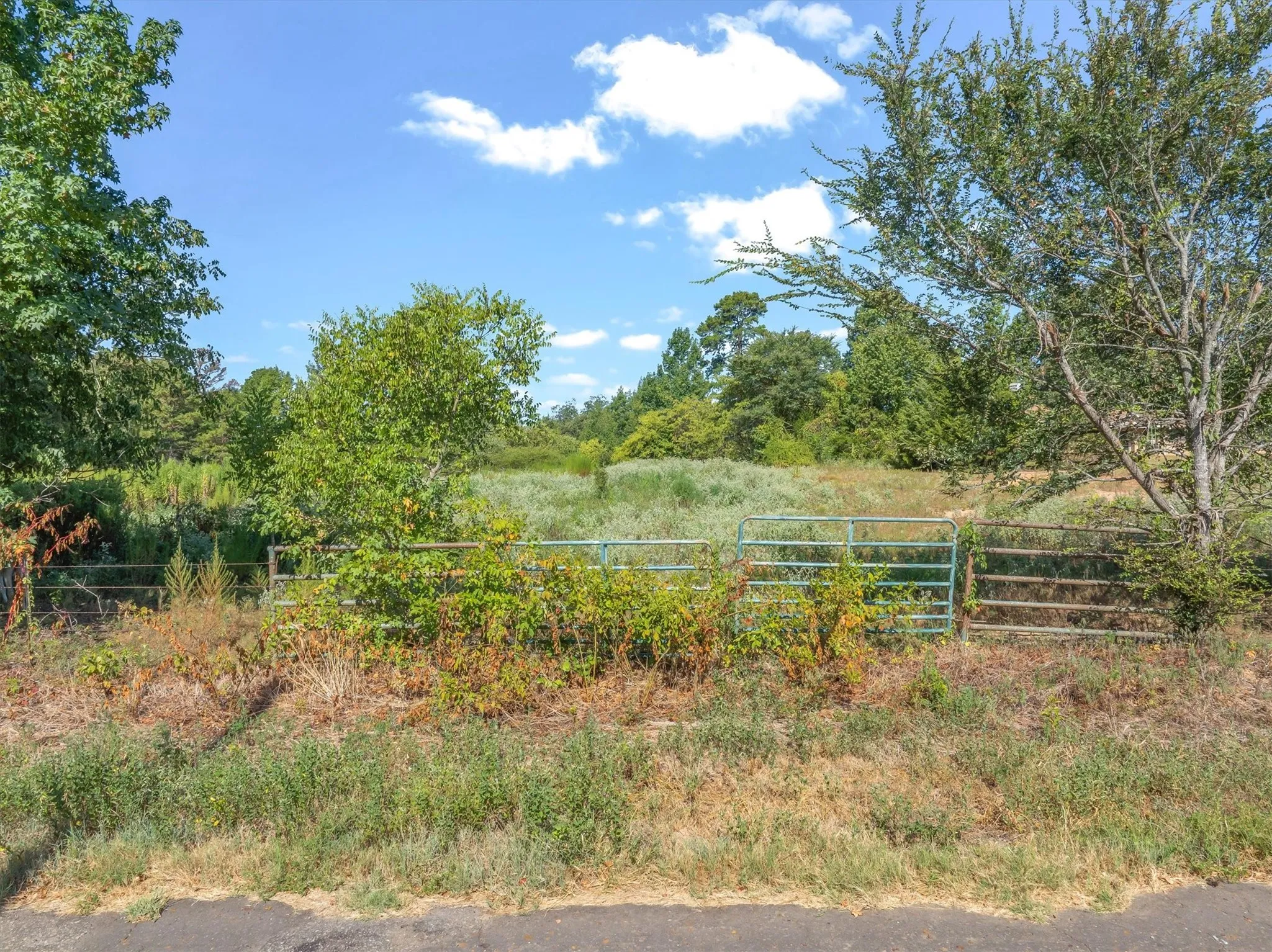 Unimproved Land For Sale in Wood County , TBD CR 4568, Winnsboro, Texas 75494, 0, 0, Garage spaces, 0 Sqft, built in 0, mls#21367935, Real Estate Agent in Winnsboro, Homes For Sale in Wood county, Homes For Sale in Winnsboro, Realtor in Winnsboro Texas, Real Estate Brokerage Independent Realty Texas, Luminita Cordes Realtor
