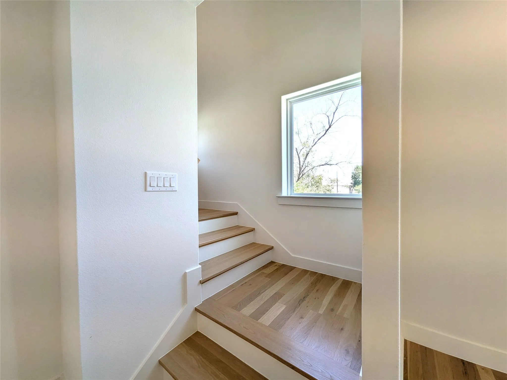 Wood-finish stair treads with white risers and baseboards