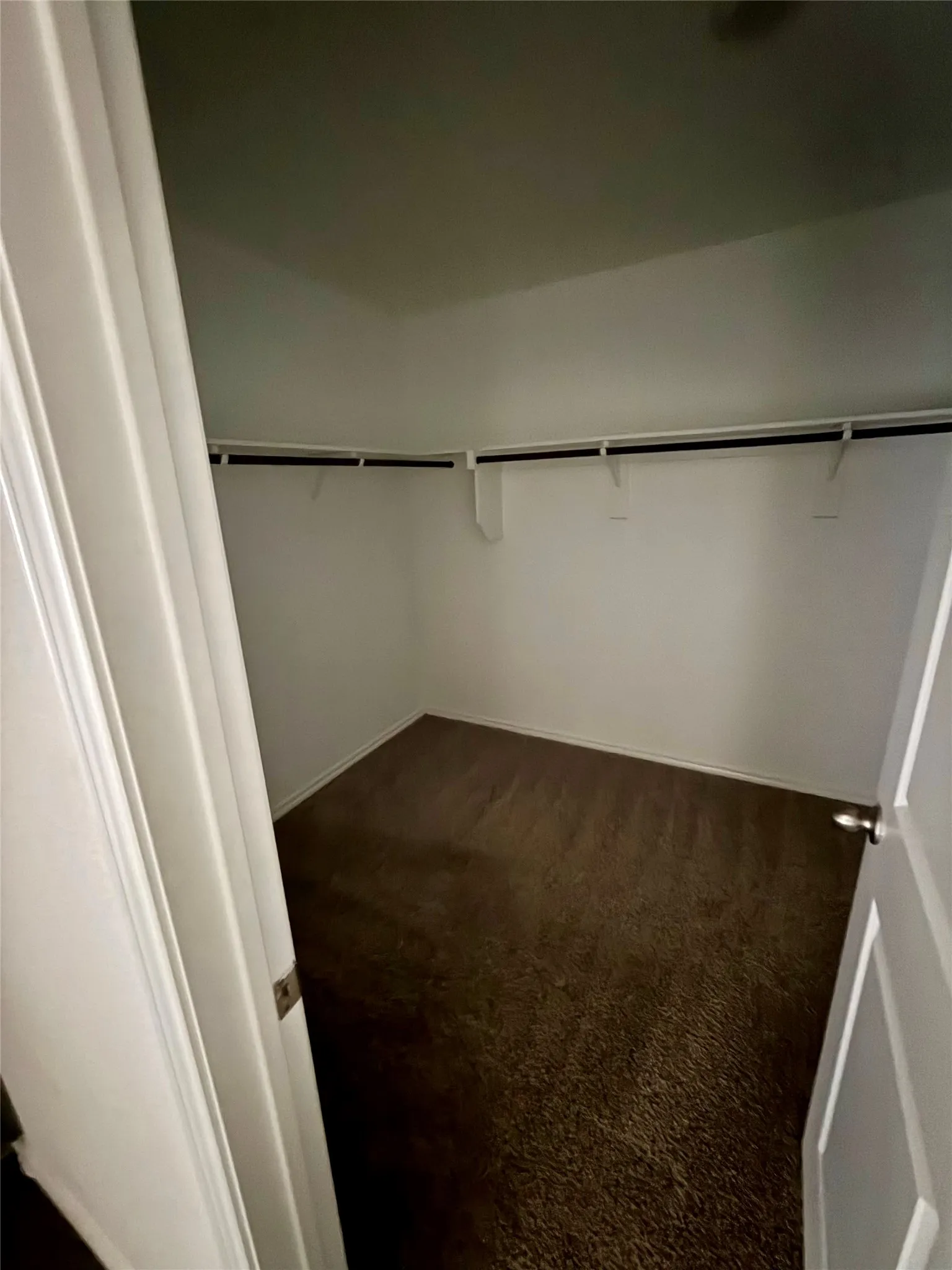 Primary bedroom walk-in-closet