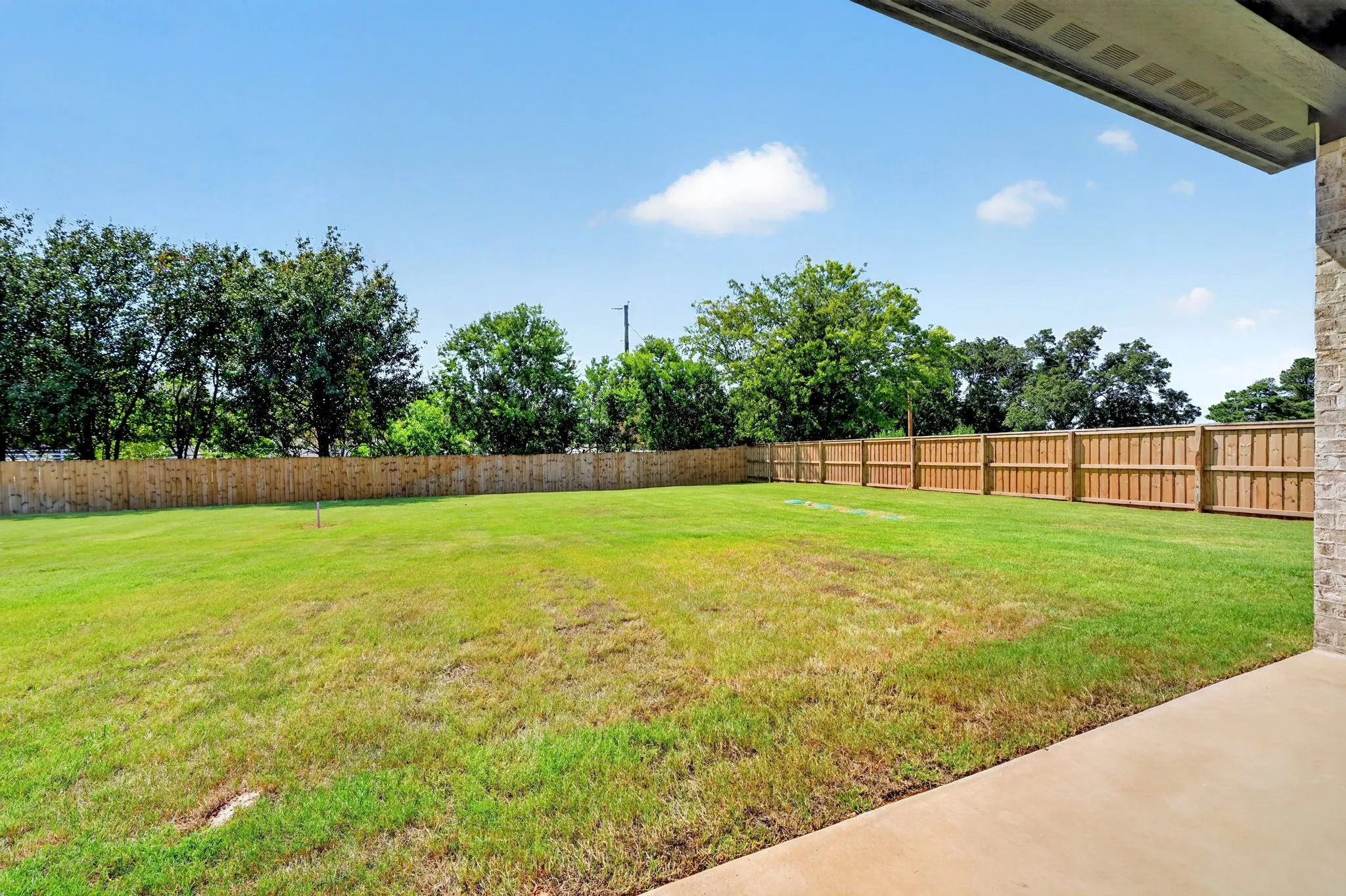 View of backyard featuring irrigation installed for easy maintence.