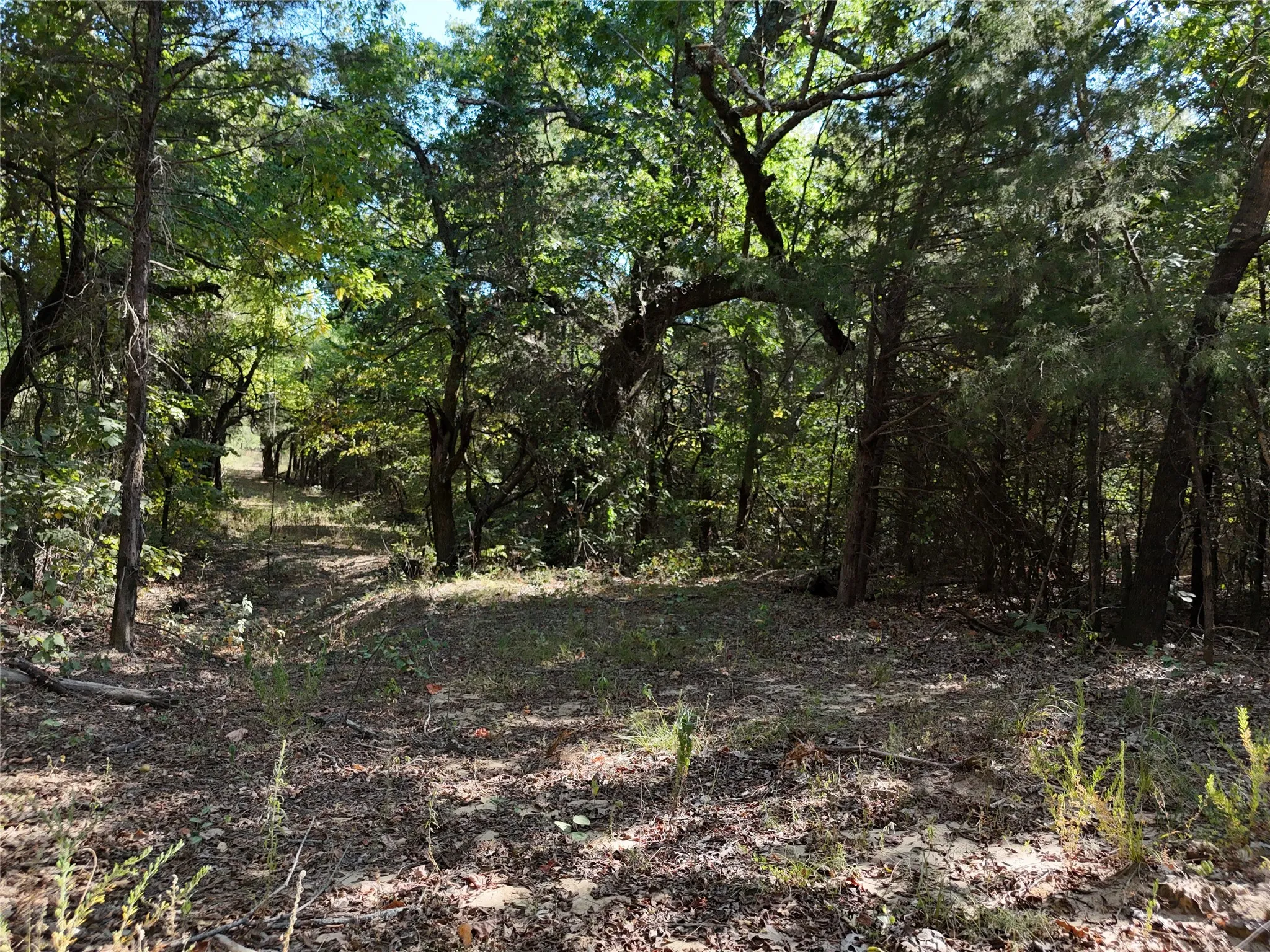Unimproved Land For Sale in Fannin County , 001701 CR 2770, Honey Grove, Texas 75446, 0, 0, Garage spaces, 0 Sqft, built in 0, mls#21367949, Real Estate Agent in Honey Grove, Homes For Sale in Fannin county, Homes For Sale in Honey Grove, Realtor in Honey Grove Texas, Real Estate Brokerage Independent Realty Texas, Luminita Cordes Realtor