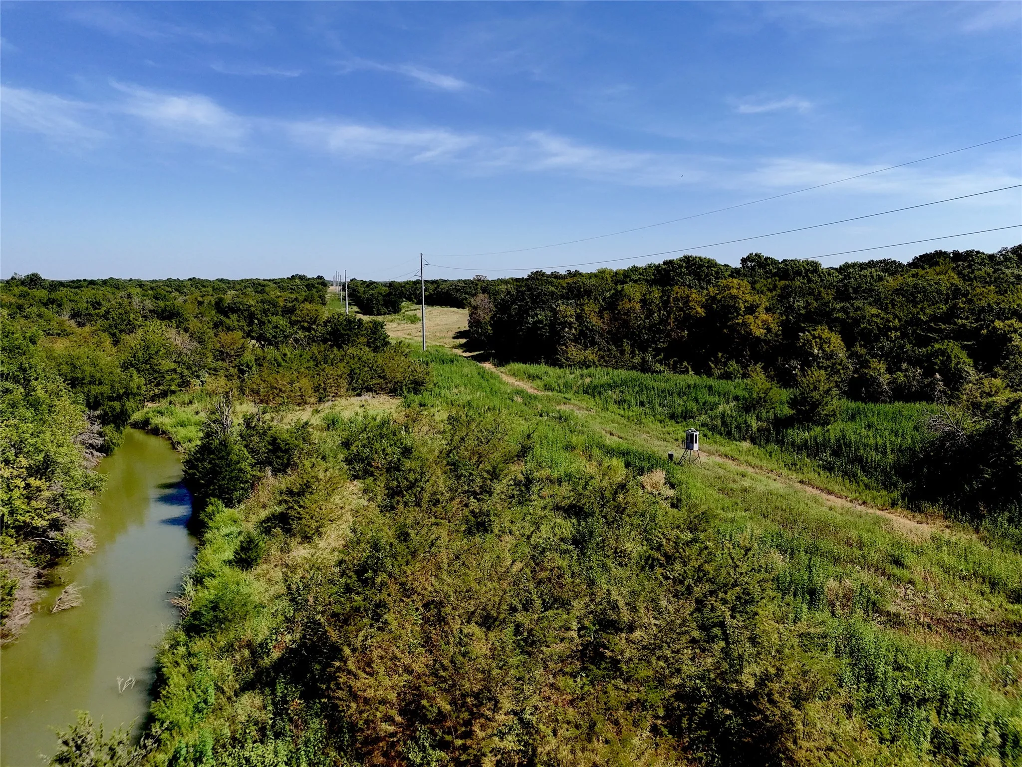 Unimproved Land For Sale in Fannin County , 001701 CR 2770, Honey Grove, Texas 75446, 0, 0, Garage spaces, 0 Sqft, built in 0, mls#21367949, Real Estate Agent in Honey Grove, Homes For Sale in Fannin county, Homes For Sale in Honey Grove, Realtor in Honey Grove Texas, Real Estate Brokerage Independent Realty Texas, Luminita Cordes Realtor