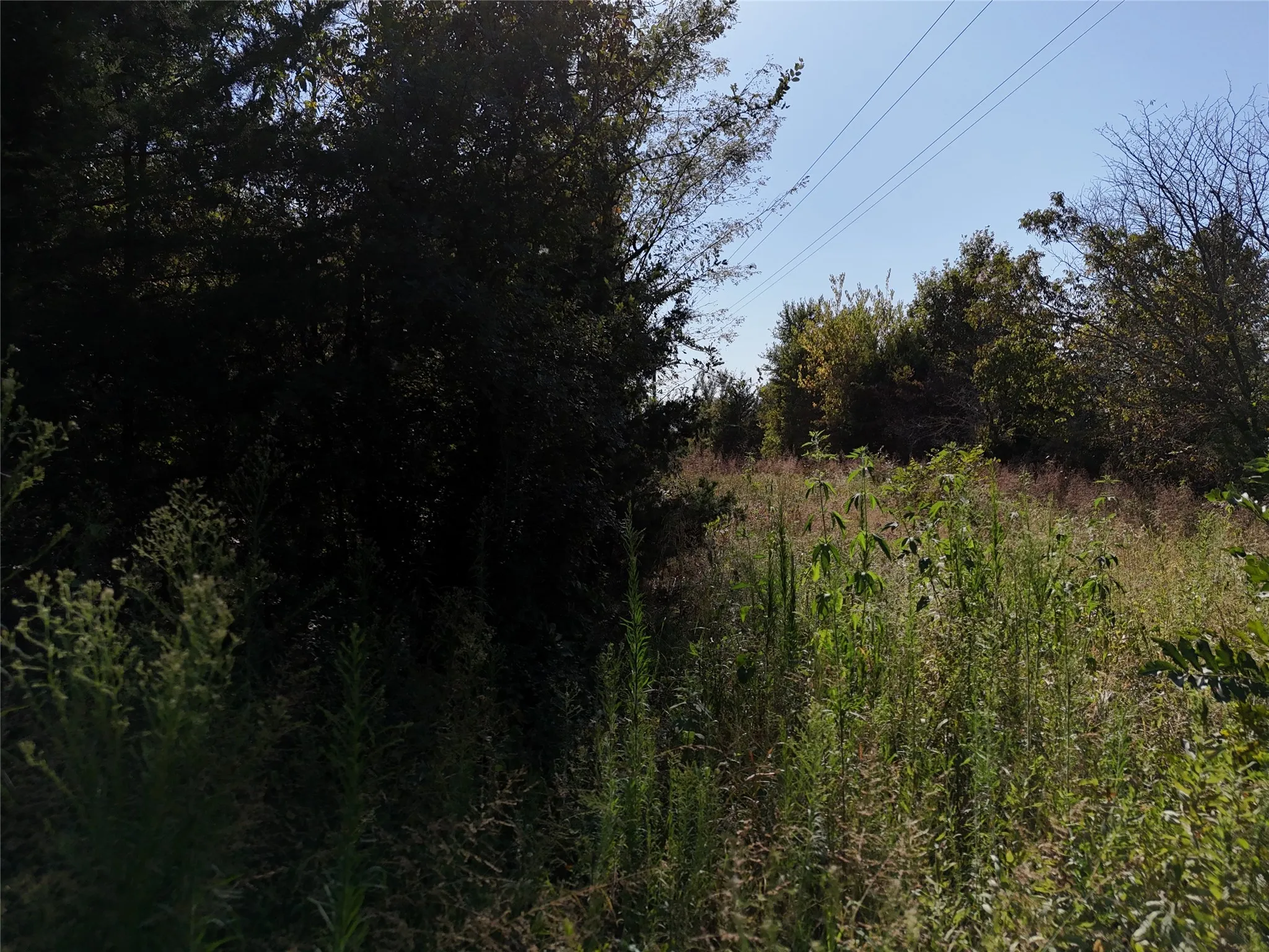 Unimproved Land For Sale in Fannin County , 001701 CR 2770, Honey Grove, Texas 75446, 0, 0, Garage spaces, 0 Sqft, built in 0, mls#21367949, Real Estate Agent in Honey Grove, Homes For Sale in Fannin county, Homes For Sale in Honey Grove, Realtor in Honey Grove Texas, Real Estate Brokerage Independent Realty Texas, Luminita Cordes Realtor