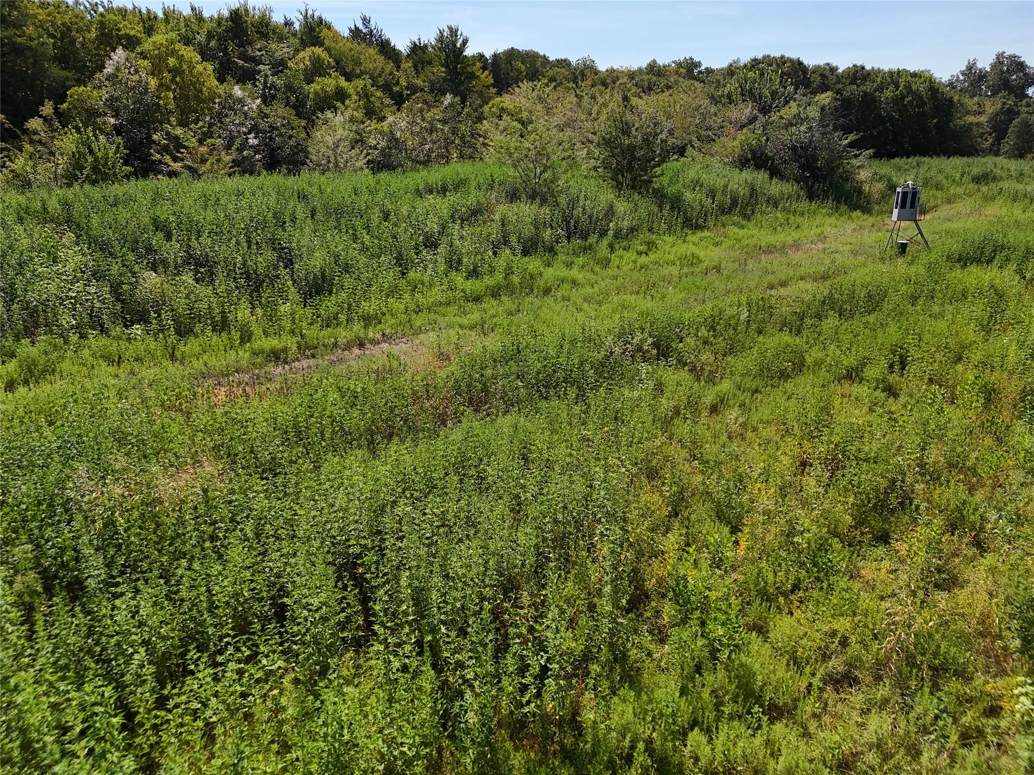 Unimproved Land For Sale in Fannin County , 001701 CR 2770, Honey Grove, Texas 75446, 0, 0, Garage spaces, 0 Sqft, built in 0, mls#21367949, Real Estate Agent in Honey Grove, Homes For Sale in Fannin county, Homes For Sale in Honey Grove, Realtor in Honey Grove Texas, Real Estate Brokerage Independent Realty Texas, Luminita Cordes Realtor