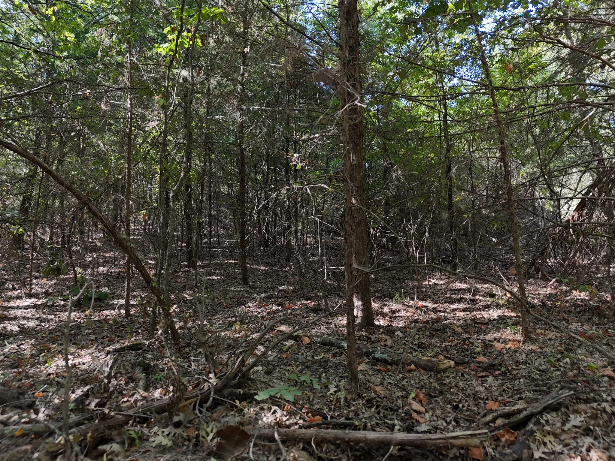 Unimproved Land For Sale in Fannin County , 001701 CR 2770, Honey Grove, Texas 75446, 0, 0, Garage spaces, 0 Sqft, built in 0, mls#21367949, Real Estate Agent in Honey Grove, Homes For Sale in Fannin county, Homes For Sale in Honey Grove, Realtor in Honey Grove Texas, Real Estate Brokerage Independent Realty Texas, Luminita Cordes Realtor