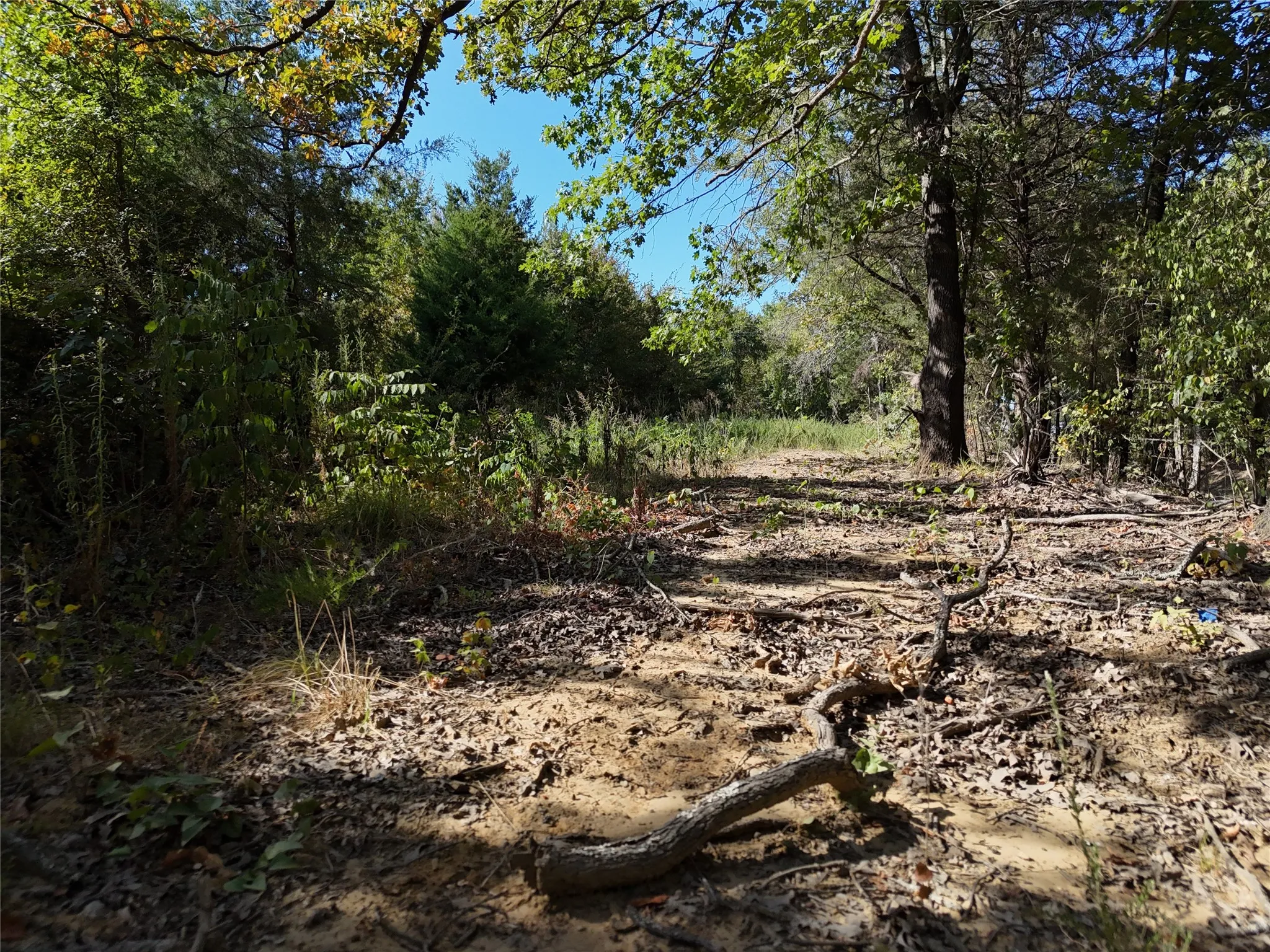 Unimproved Land For Sale in Fannin County , 001701 CR 2770, Honey Grove, Texas 75446, 0, 0, Garage spaces, 0 Sqft, built in 0, mls#21367949, Real Estate Agent in Honey Grove, Homes For Sale in Fannin county, Homes For Sale in Honey Grove, Realtor in Honey Grove Texas, Real Estate Brokerage Independent Realty Texas, Luminita Cordes Realtor