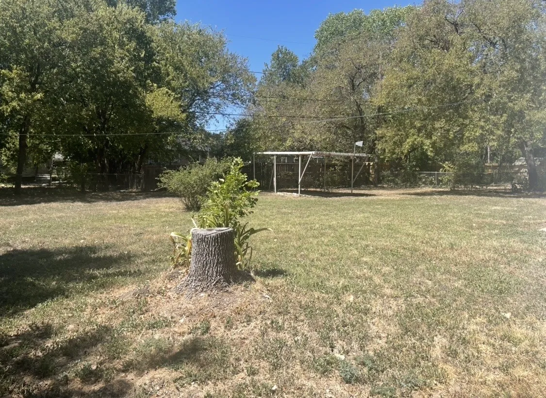 Fenced back yard