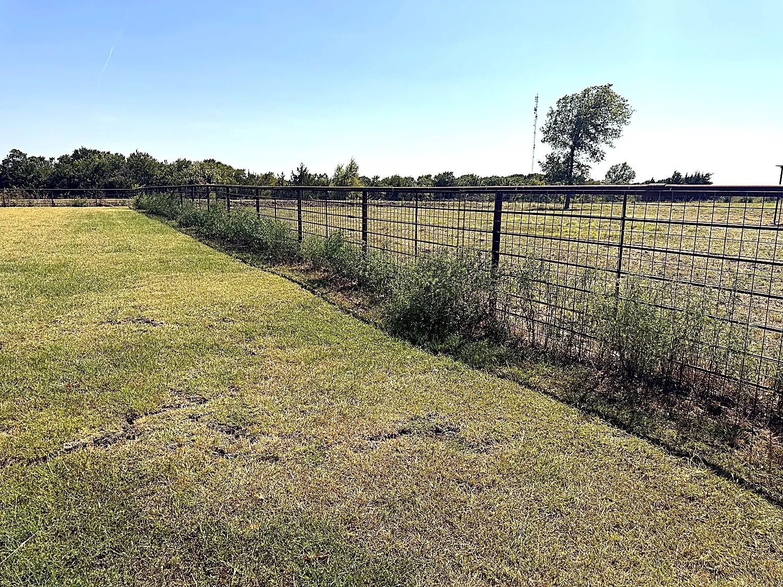 Single Family Residence For Sale in Fannin County , 1599 County Road 2925, Dodd City, Texas 75438, 3 Bedroom, 2 Bathroom, 2 Garage spaces, 2,047 Sqft, built in 1996, mls#21368012, Real Estate Agent in Dodd City, Homes For Sale in Fannin county, Homes For Sale in Dodd City, Realtor in Dodd City Texas, Real Estate Brokerage Independent Realty Texas, Luminita Cordes Realtor