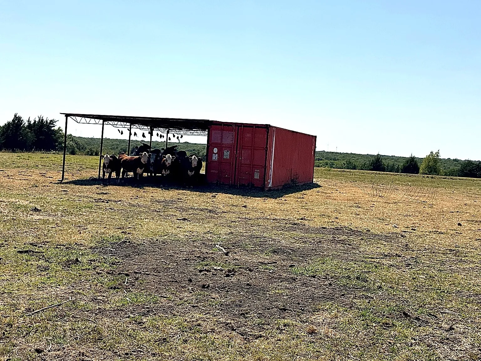 Single Family Residence For Sale in Fannin County , 1599 County Road 2925, Dodd City, Texas 75438, 3 Bedroom, 2 Bathroom, 2 Garage spaces, 2,047 Sqft, built in 1996, mls#21368012, Real Estate Agent in Dodd City, Homes For Sale in Fannin county, Homes For Sale in Dodd City, Realtor in Dodd City Texas, Real Estate Brokerage Independent Realty Texas, Luminita Cordes Realtor