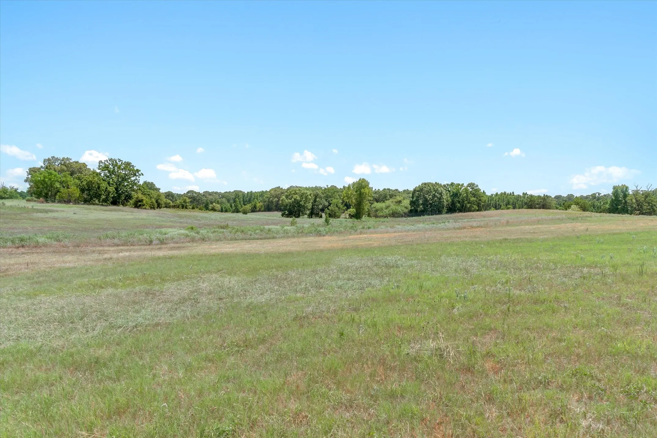 Improved Land For Sale in Van Zandt County , 1779 CALLENDER LAKE Drive, Ben Wheeler, Texas 75778, 0, 0, Garage spaces, 0 Sqft, built in 2023, mls#21353901, Real Estate Agent in Ben Wheeler, Homes For Sale in Van Zandt county, Homes For Sale in Ben Wheeler, Realtor in Ben Wheeler Texas, Real Estate Brokerage Independent Realty Texas, Luminita Cordes Realtor