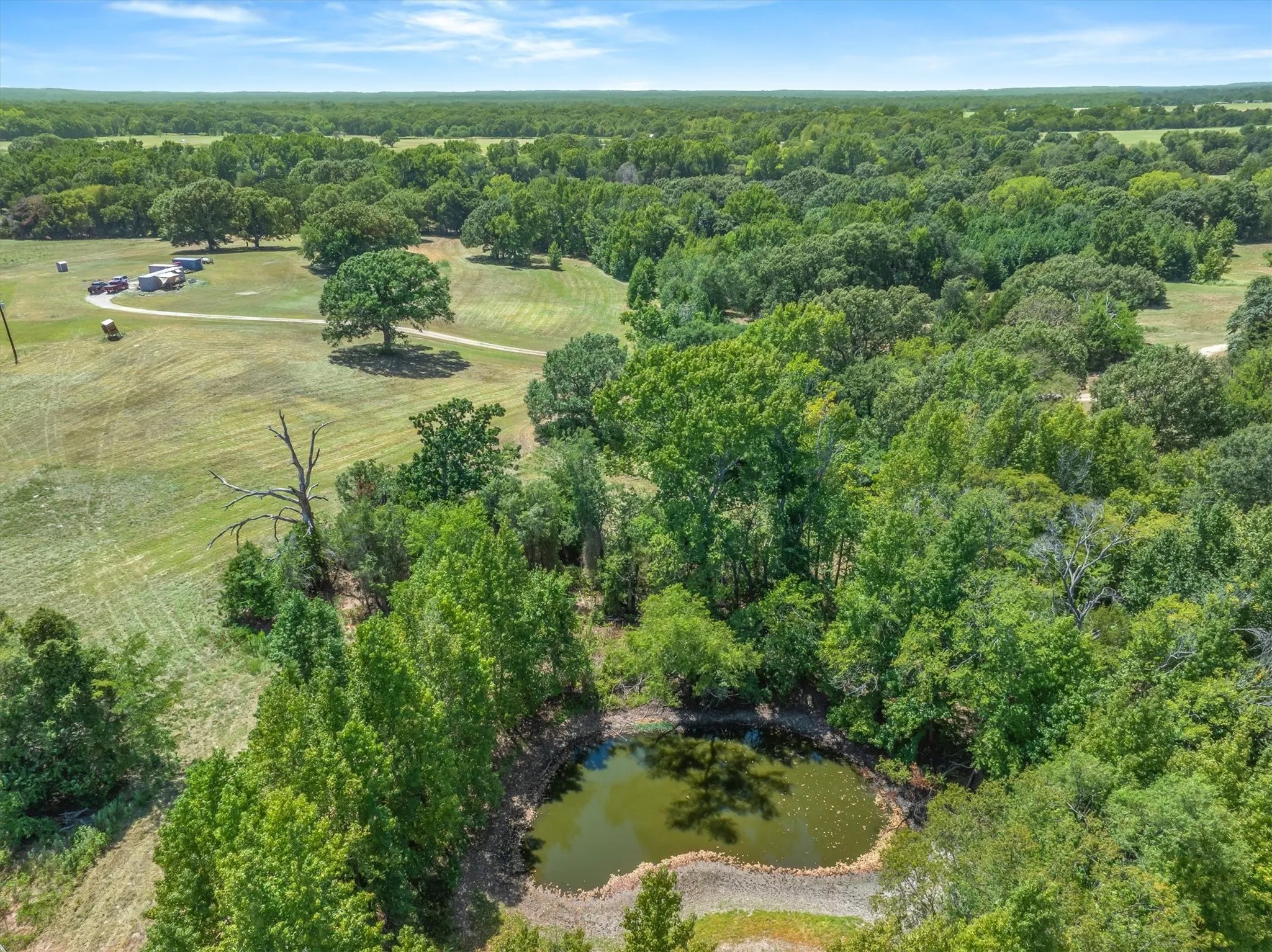 Pond feature with surrounding trees