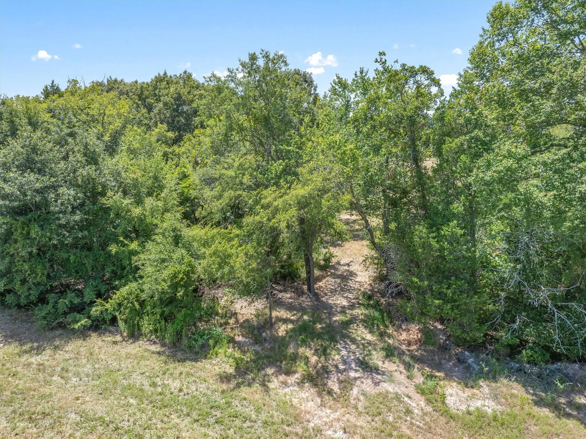 Abundant mature trees and natural vegetation