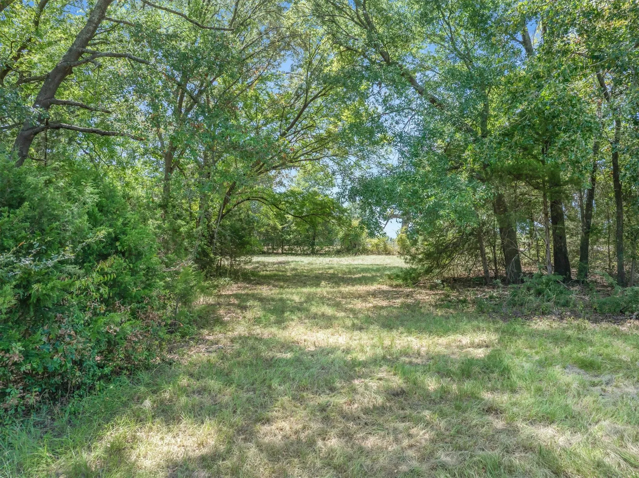 Improved Land For Sale in Van Zandt County , 1779 CALLENDER LAKE Drive, Ben Wheeler, Texas 75778, 0, 0, Garage spaces, 0 Sqft, built in 2023, mls#21353901, Real Estate Agent in Ben Wheeler, Homes For Sale in Van Zandt county, Homes For Sale in Ben Wheeler, Realtor in Ben Wheeler Texas, Real Estate Brokerage Independent Realty Texas, Luminita Cordes Realtor