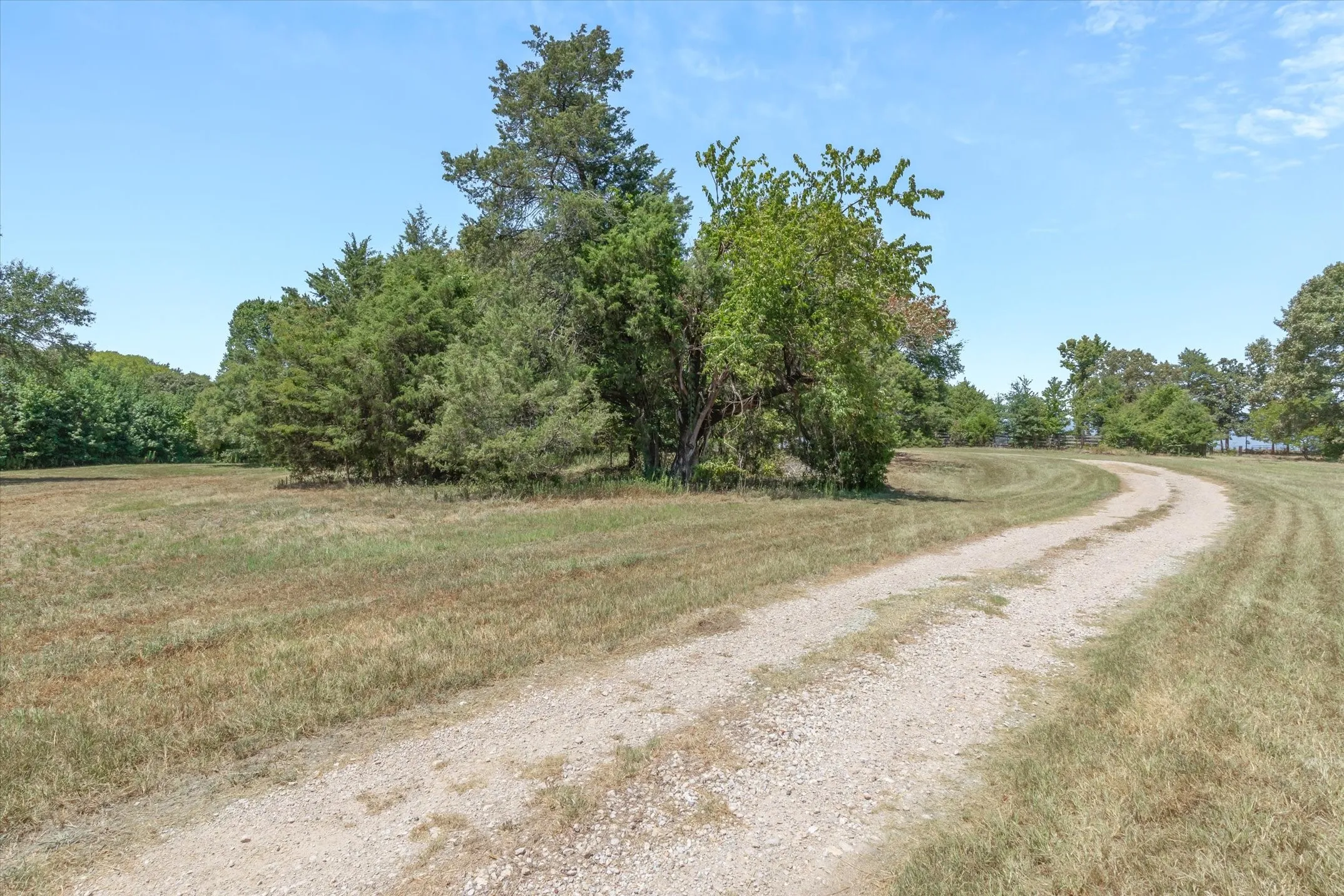 Expansive natural landscape with mature trees and a gravel driveway